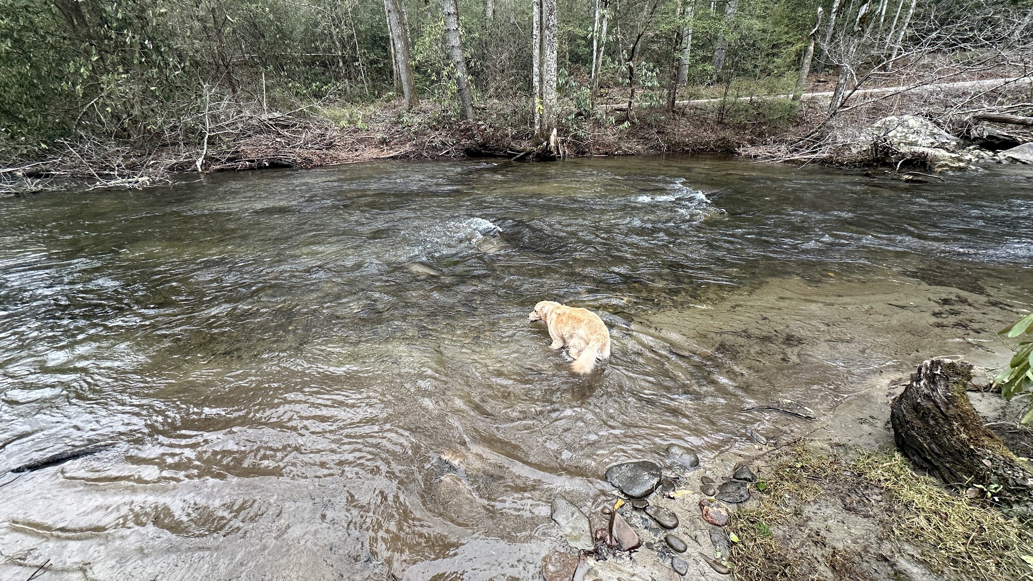 Holly Flats Campground