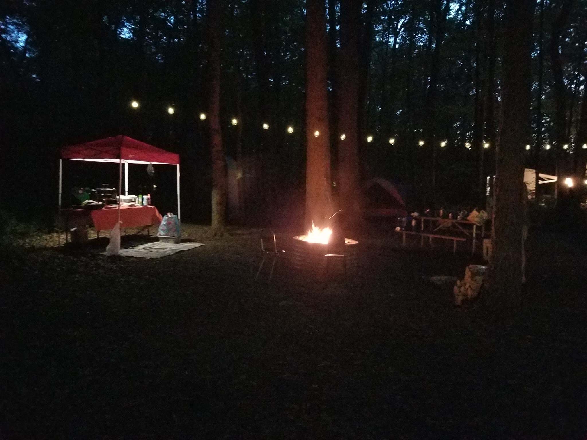 Holly-Mcginnis Lake Modern Campground