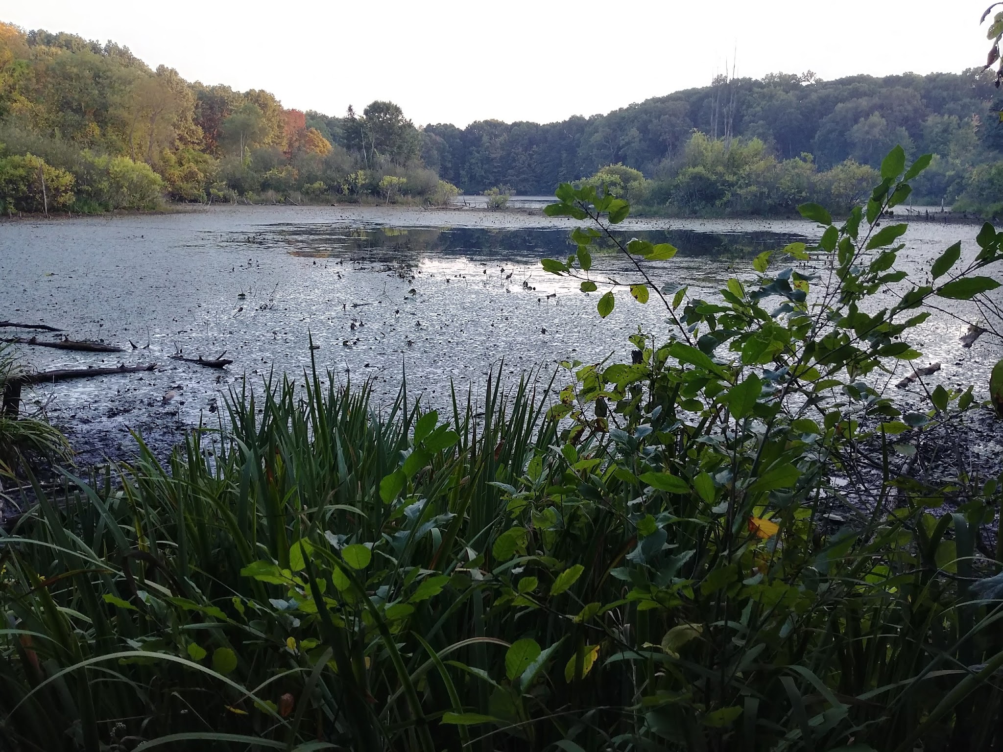 Holly-Mcginnis Lake Modern Campground