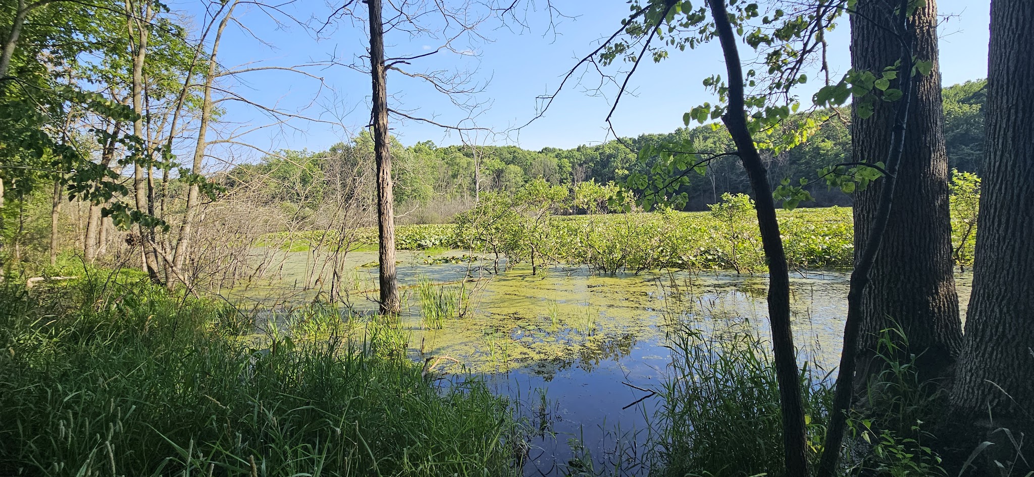 Holly-Mcginnis Lake Modern Campground