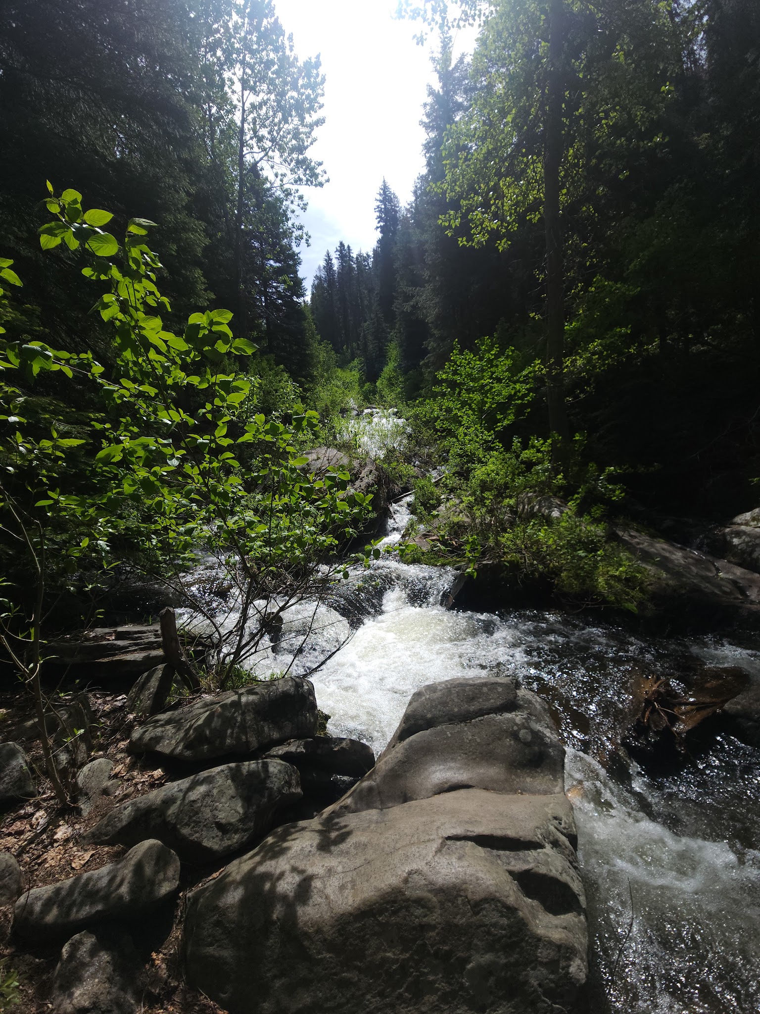 Hollywood Campground