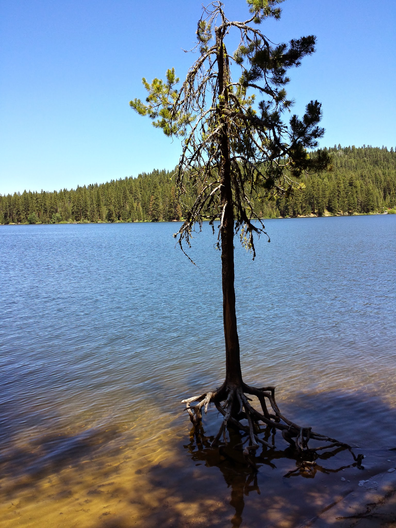 Hollywood Campground