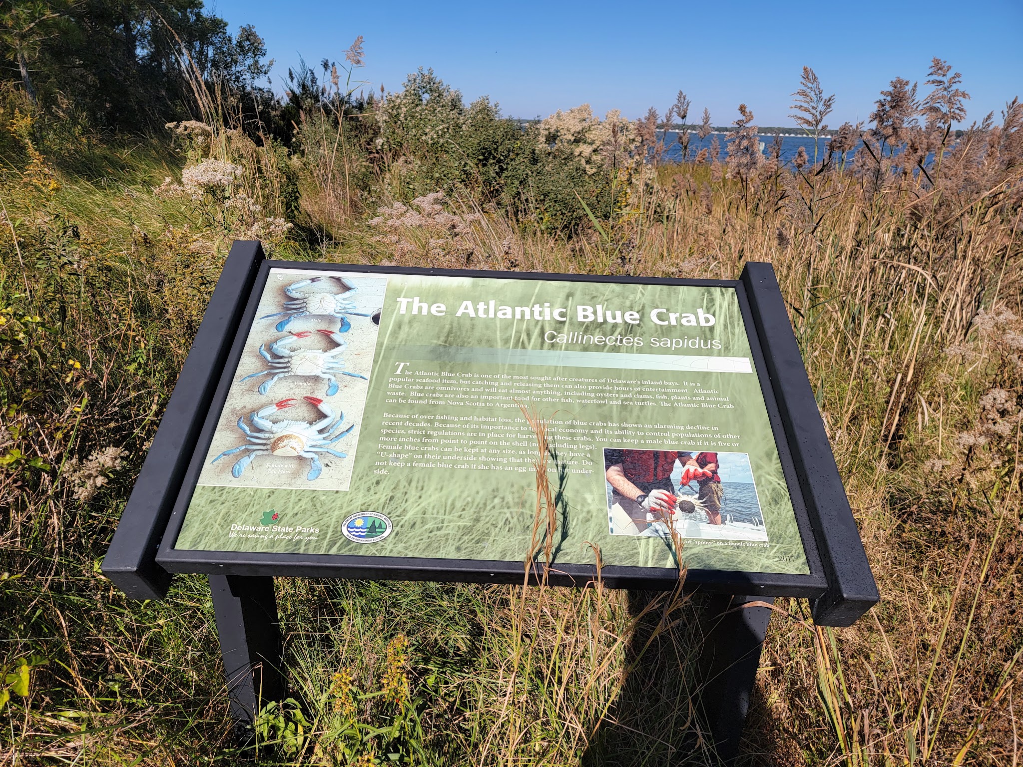 Holts Landing State Park