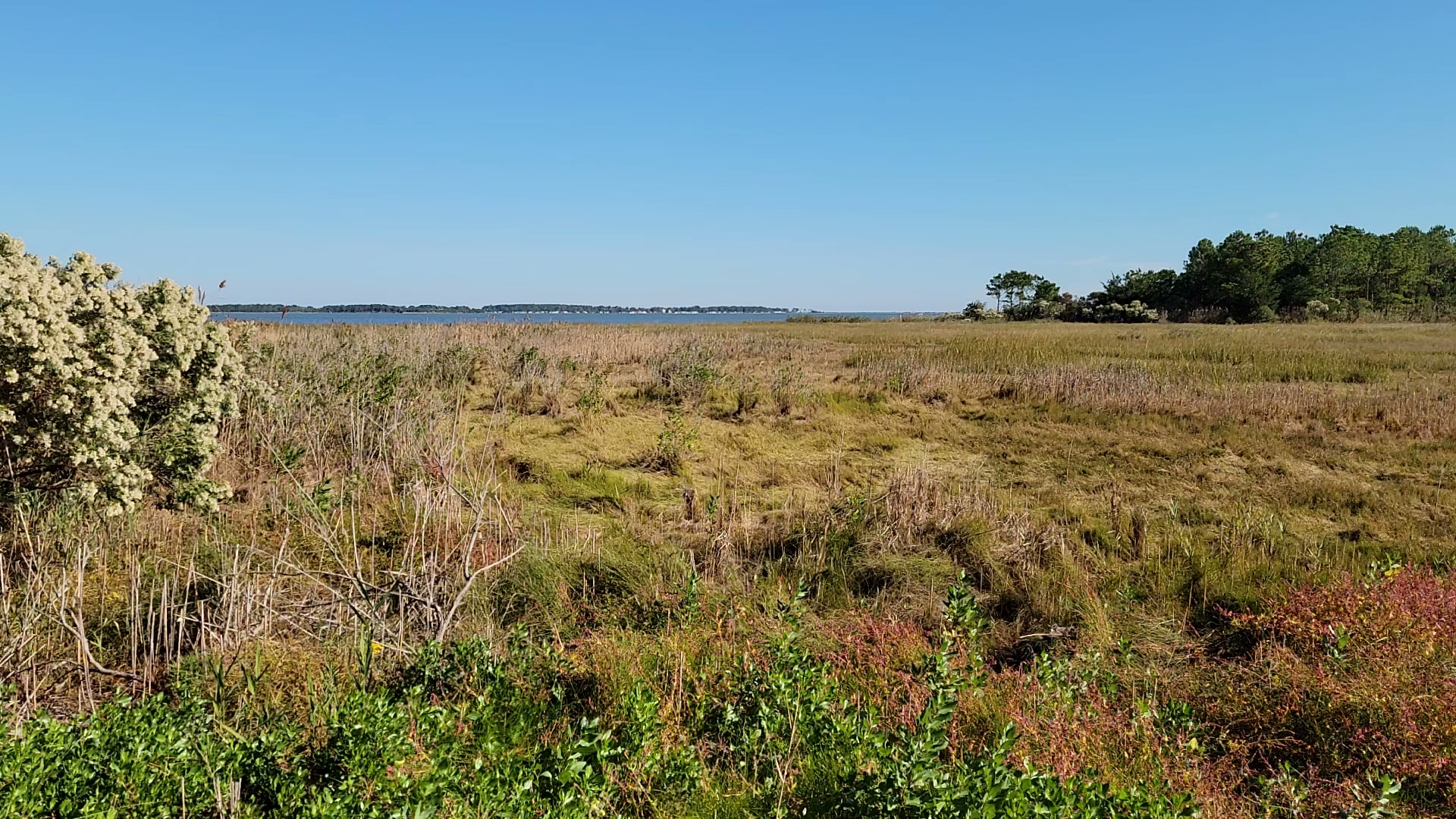 Holts Landing State Park