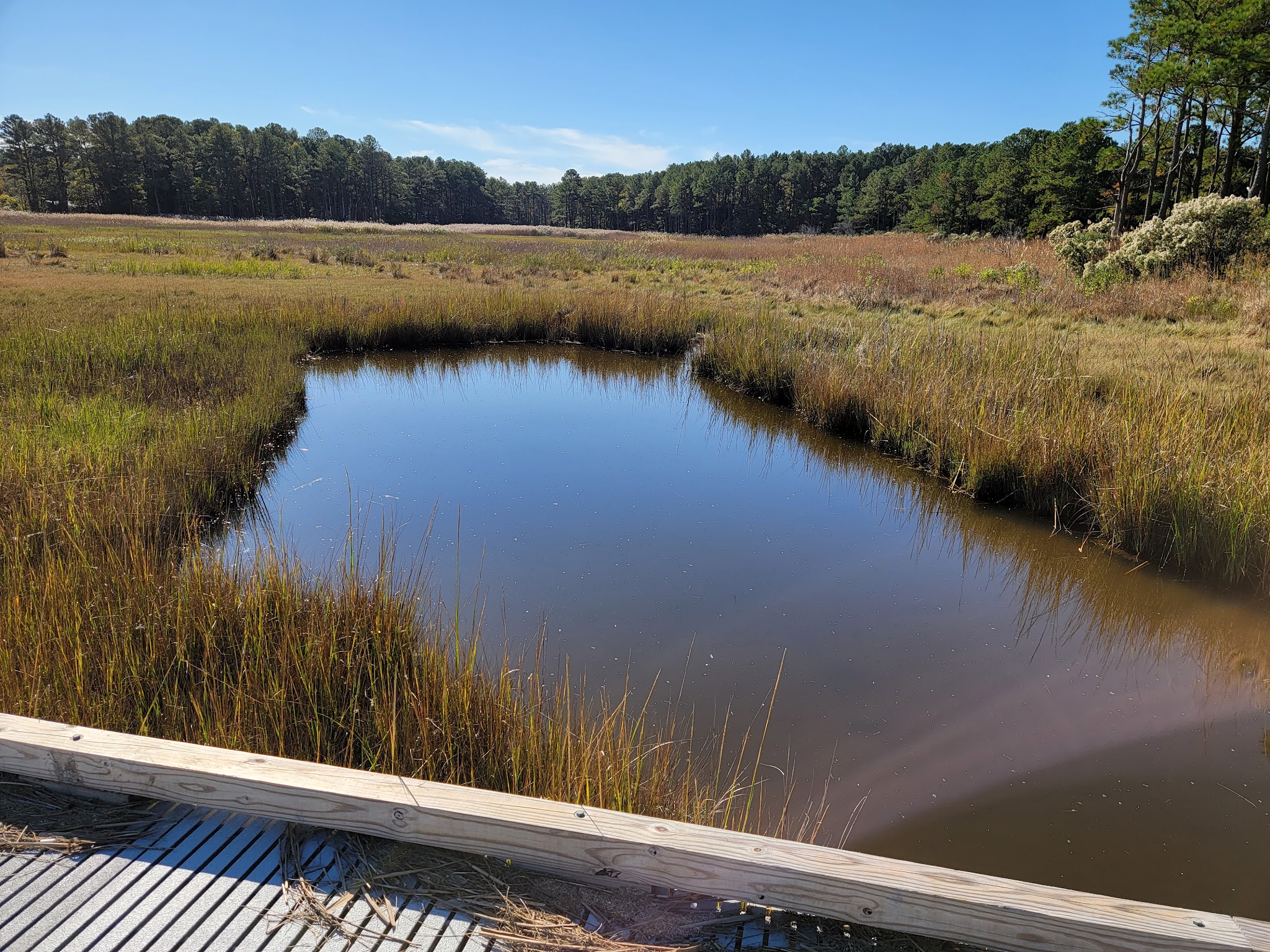 Holts Landing State Park