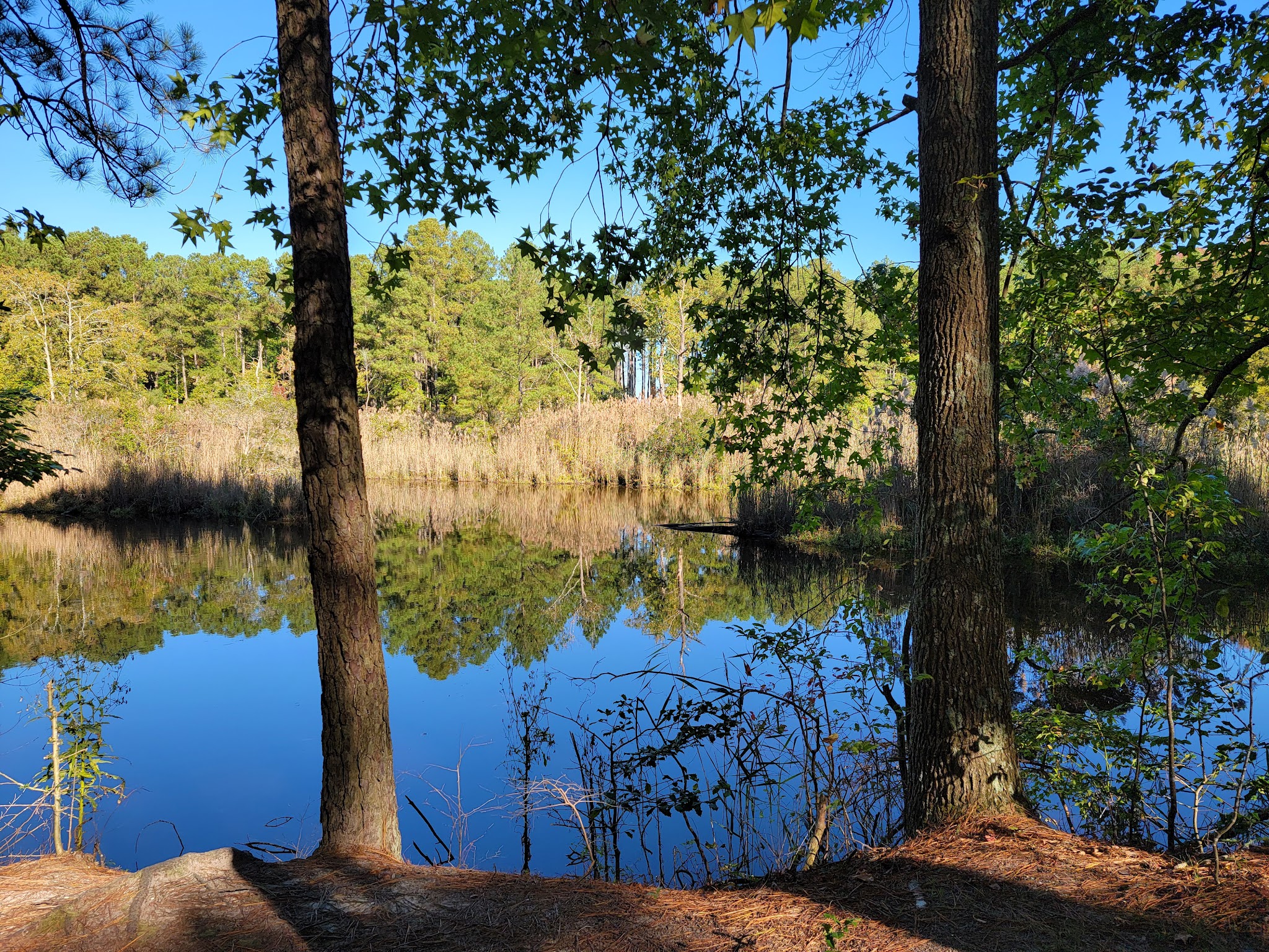 Holts Landing State Park