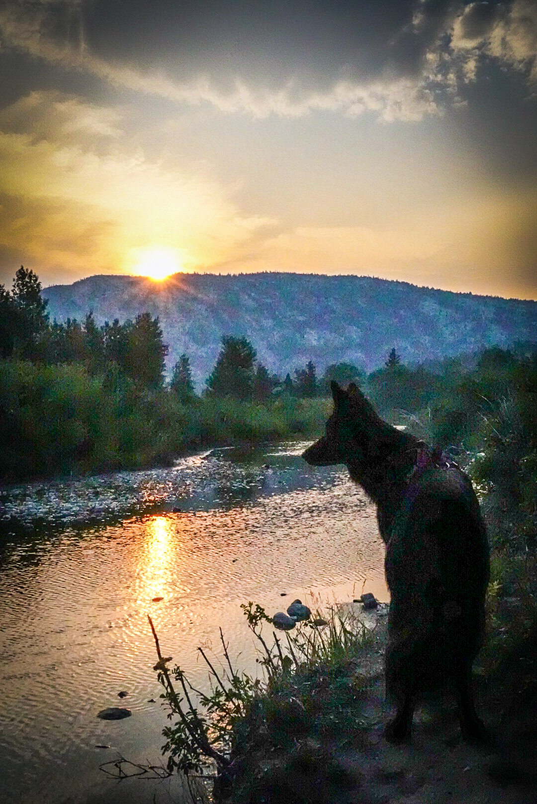 Home Gulch Campground