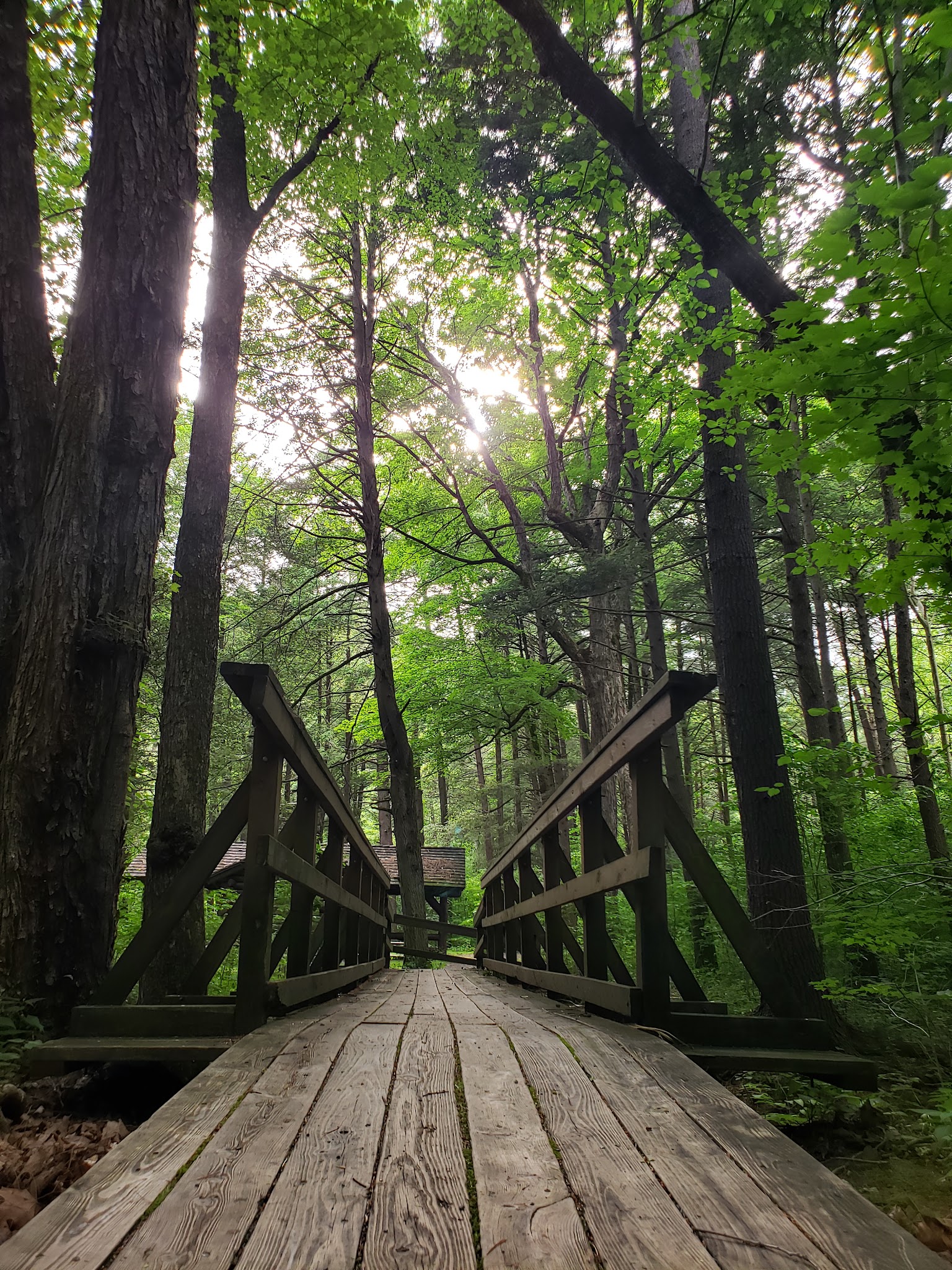 Hone Quarry Campground