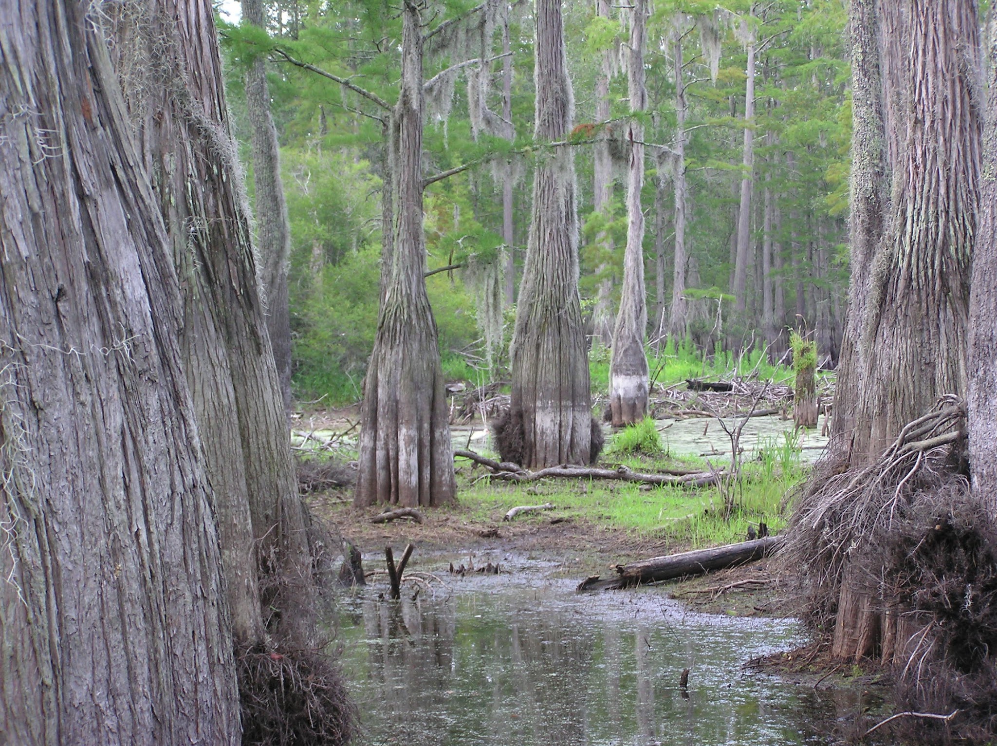 Honey Hill Recreation Area