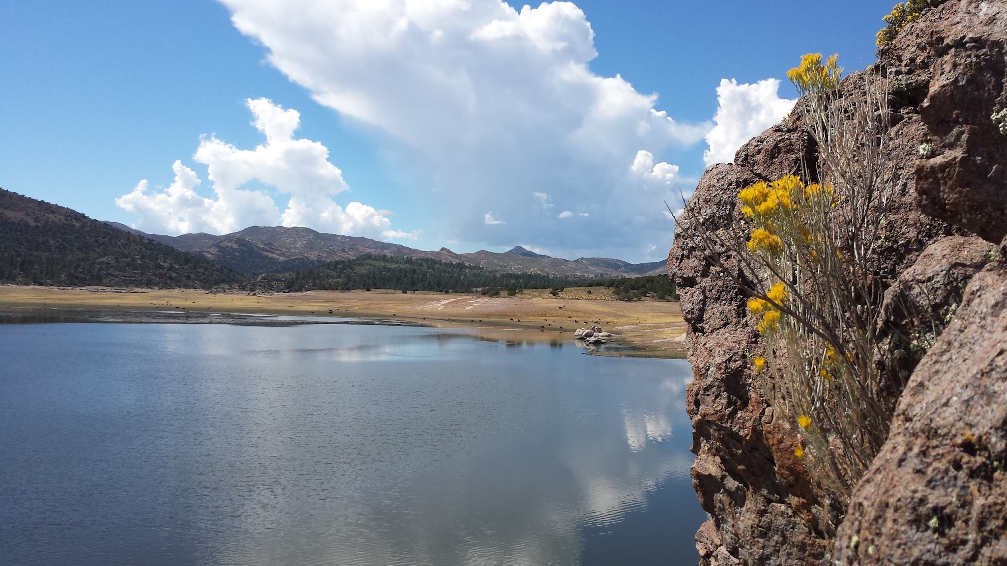 Honeycomb Rocks Campground