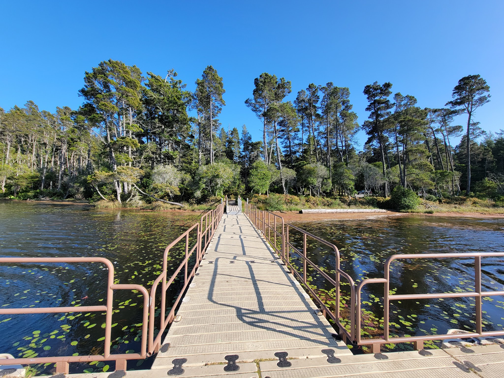 Jessie M. Honeyman Memorial State Park