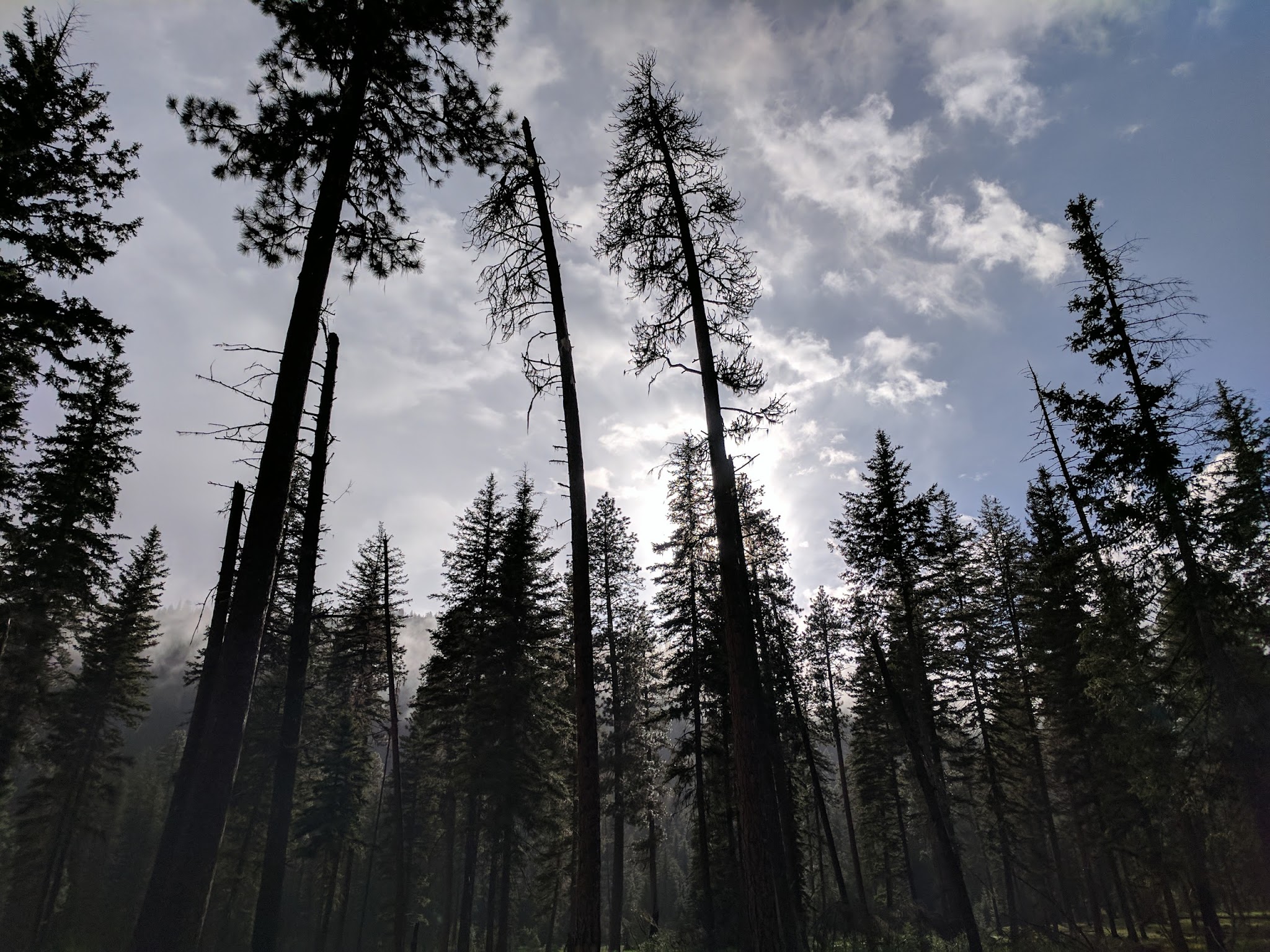 Honeymoon Campground