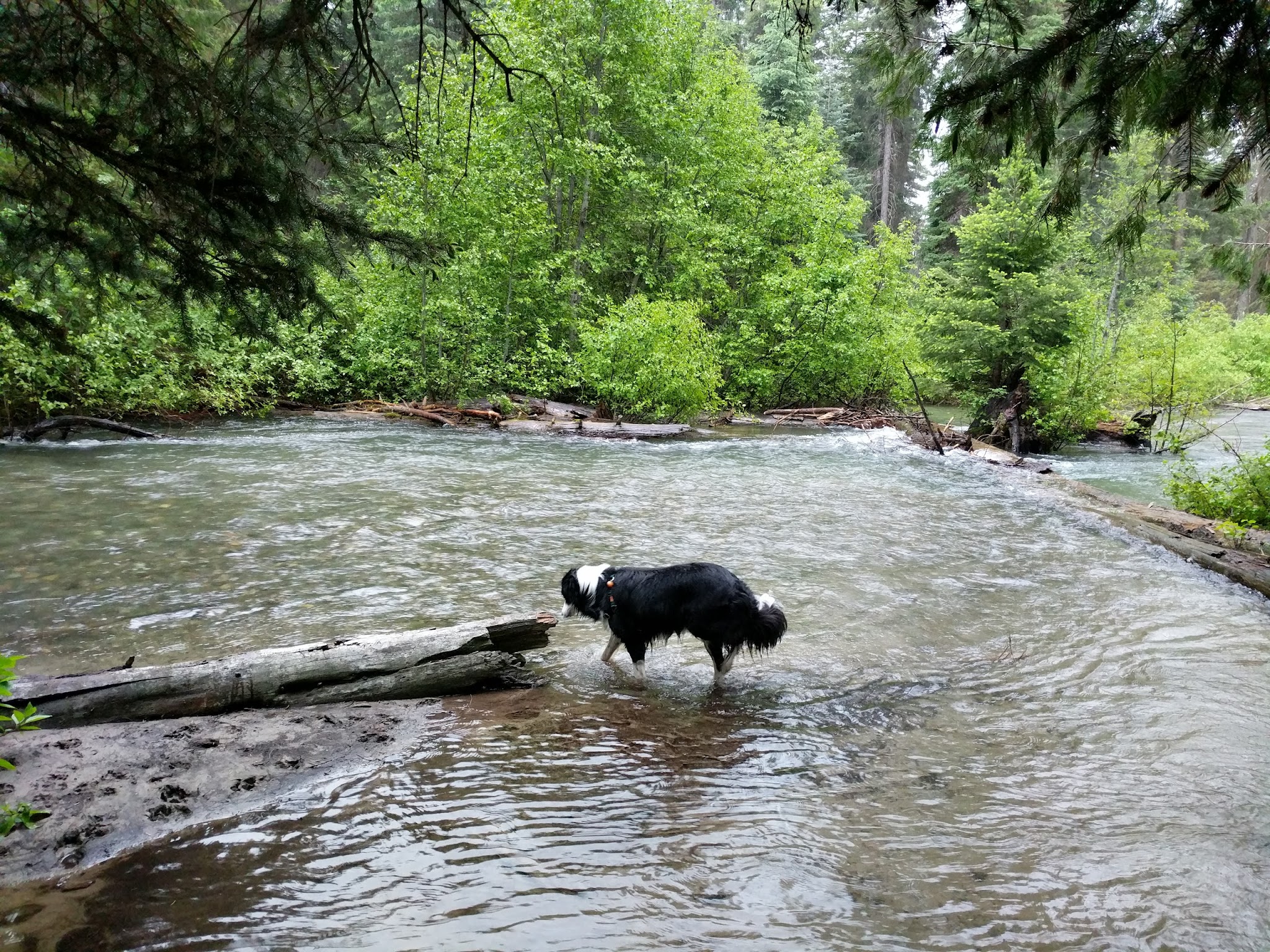 Honeymoon Campground