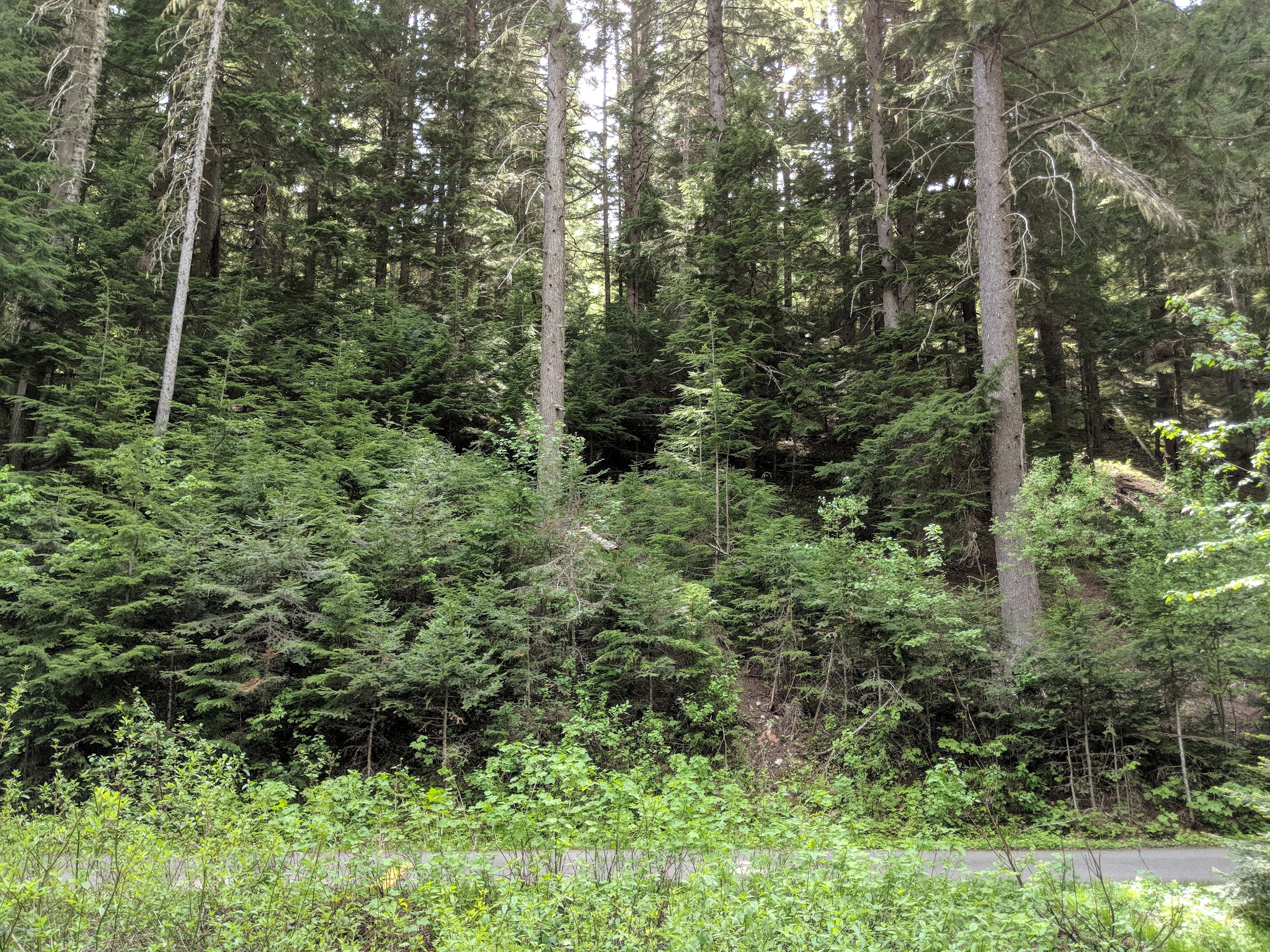 Honeysuckle Campground