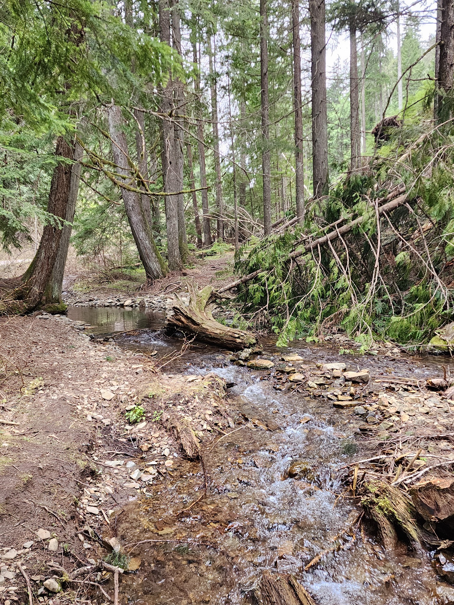 Honeysuckle Campground