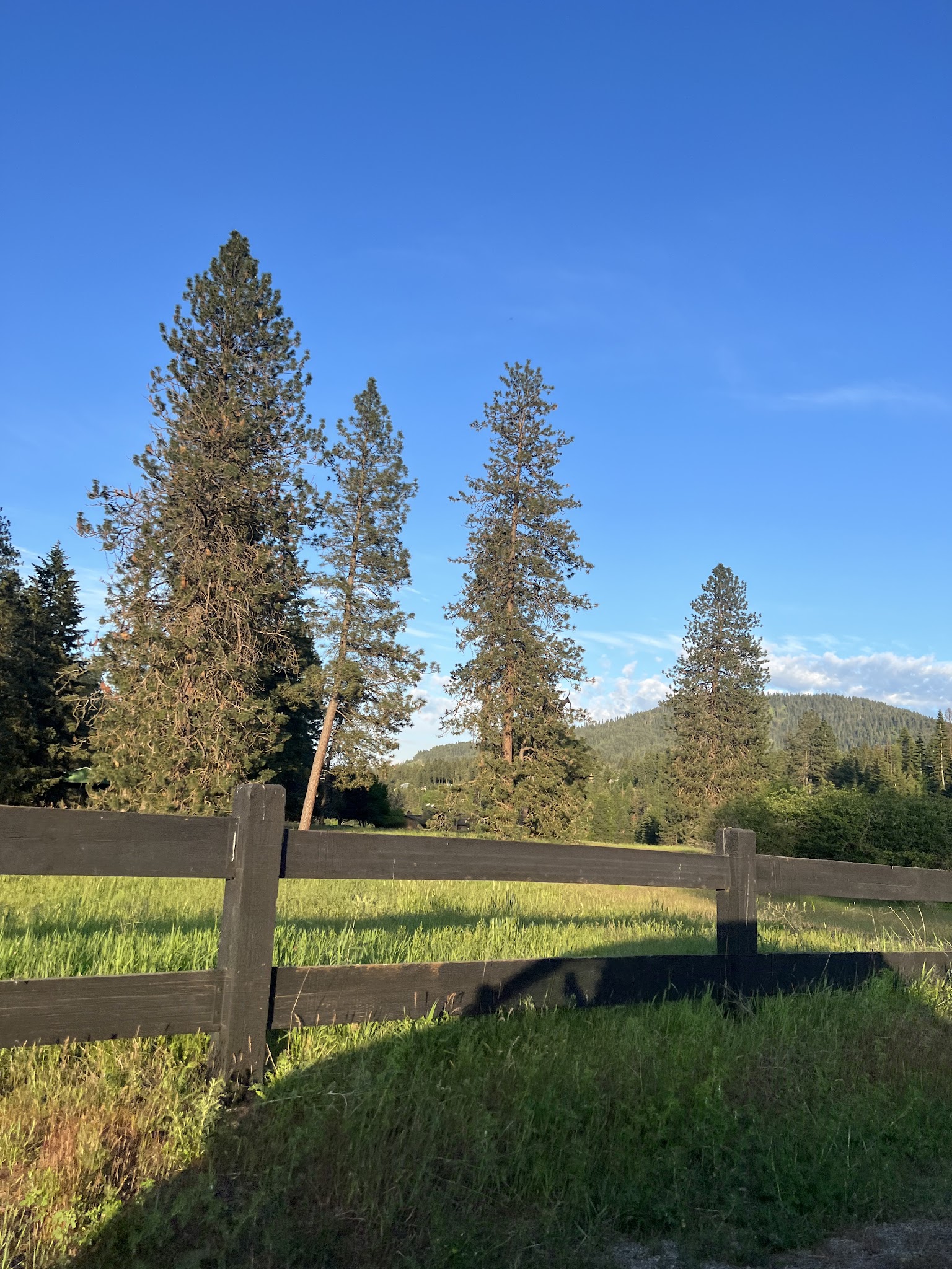 Honeysuckle Campground