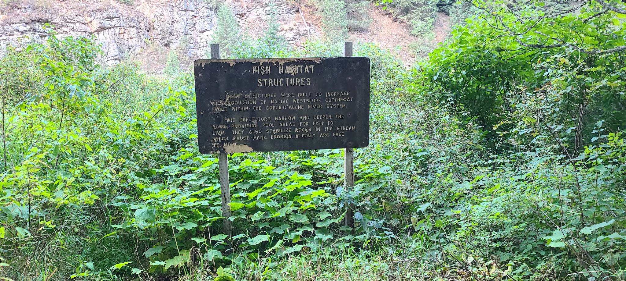 Honeysuckle Campground