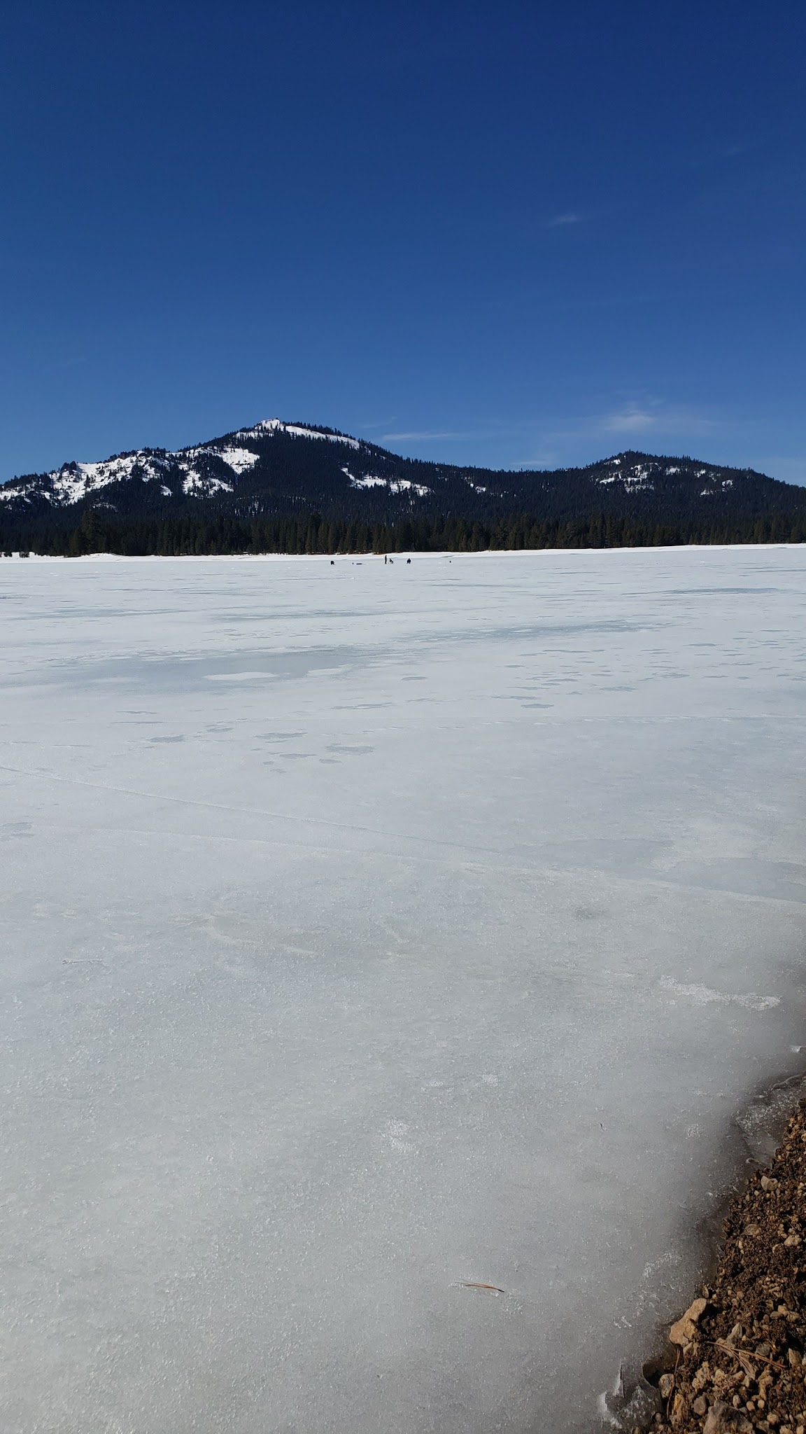 Honker Cove Overflow