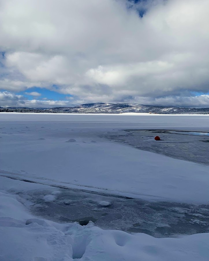 Honker Cove Overflow