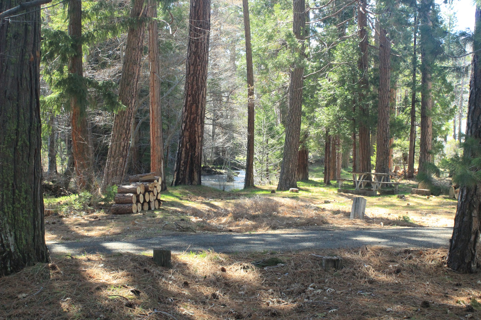 Honn Campground