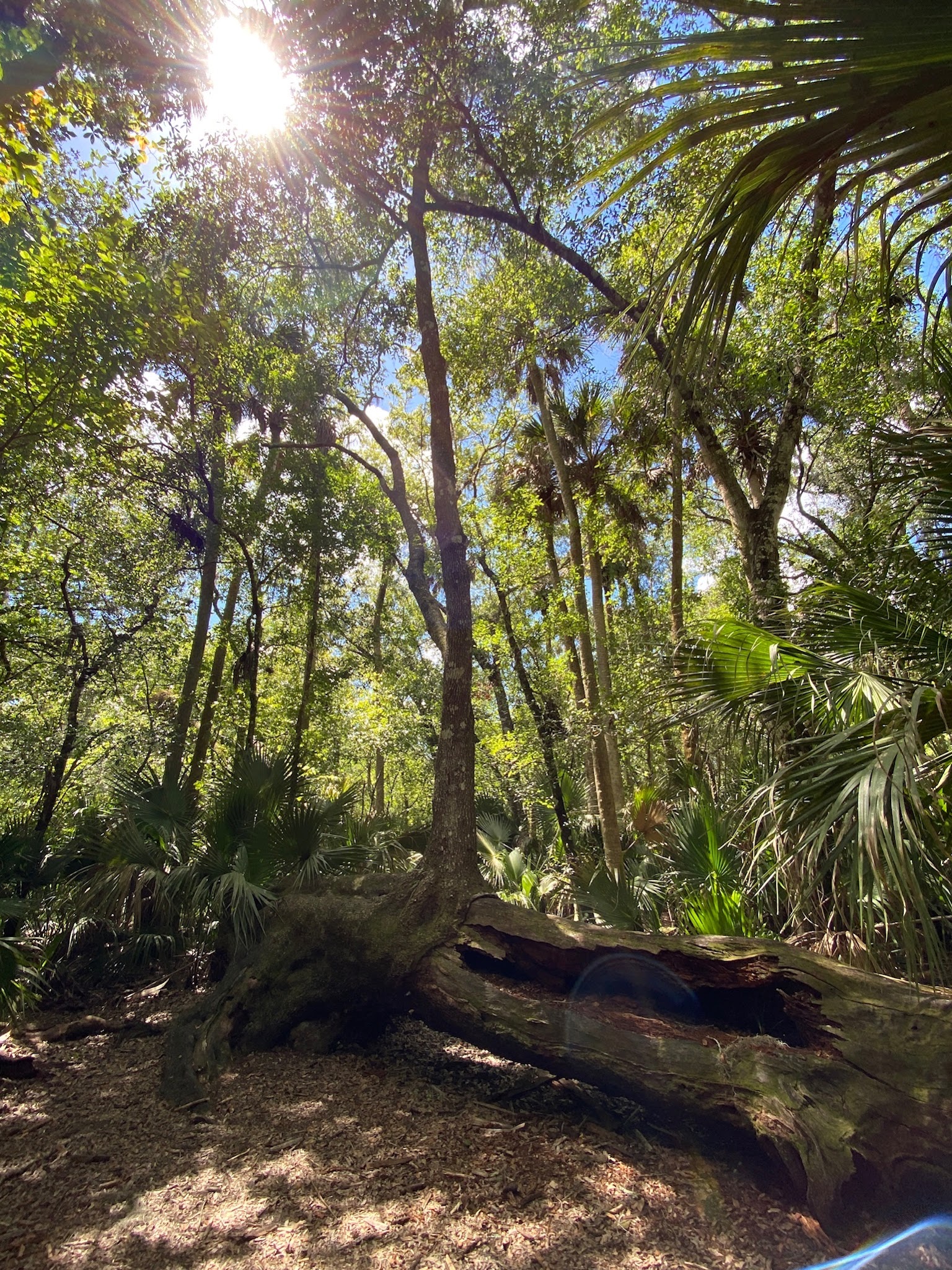 Hontoon Island State Park Campground