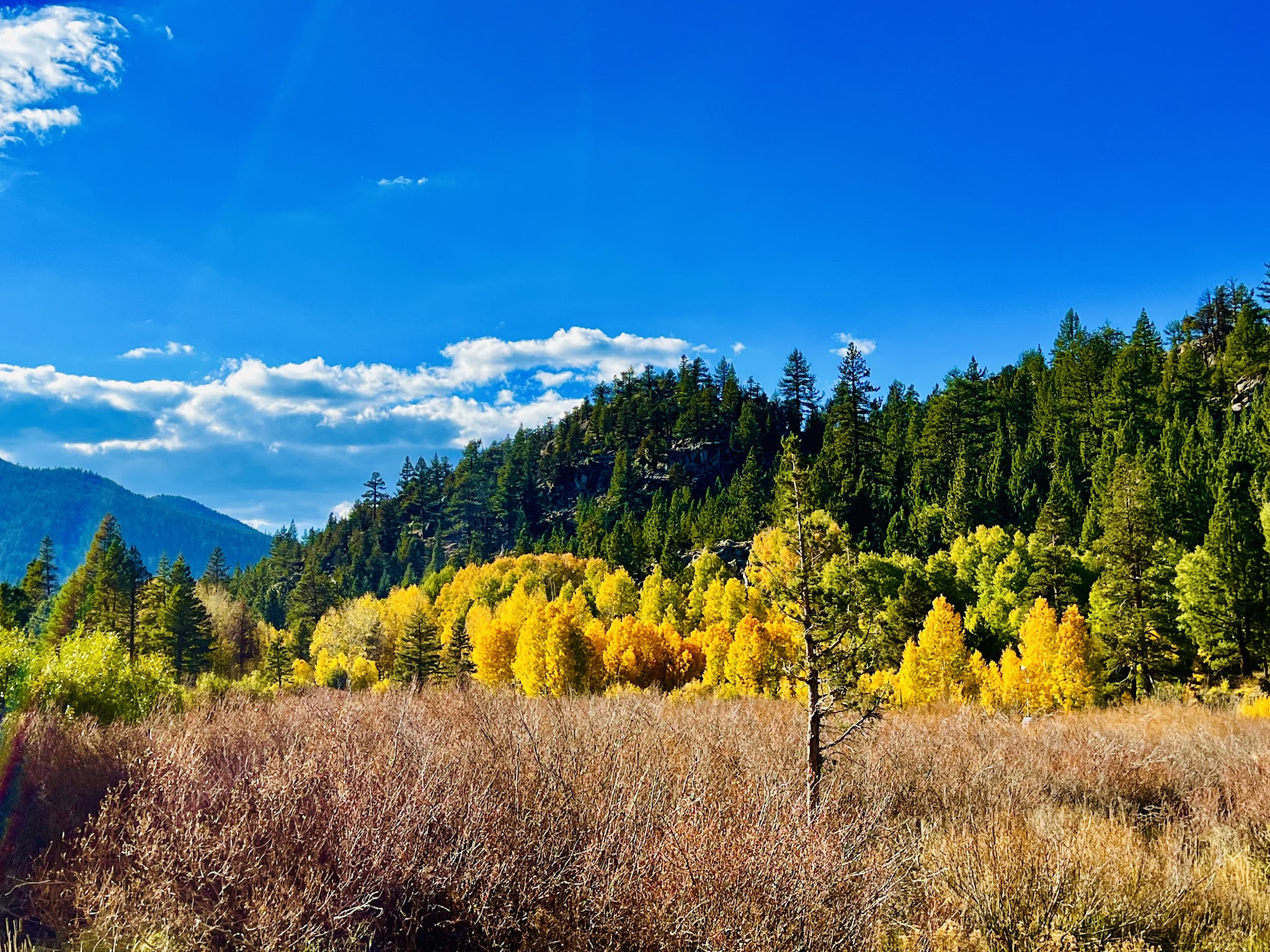 Hope Valley Campground