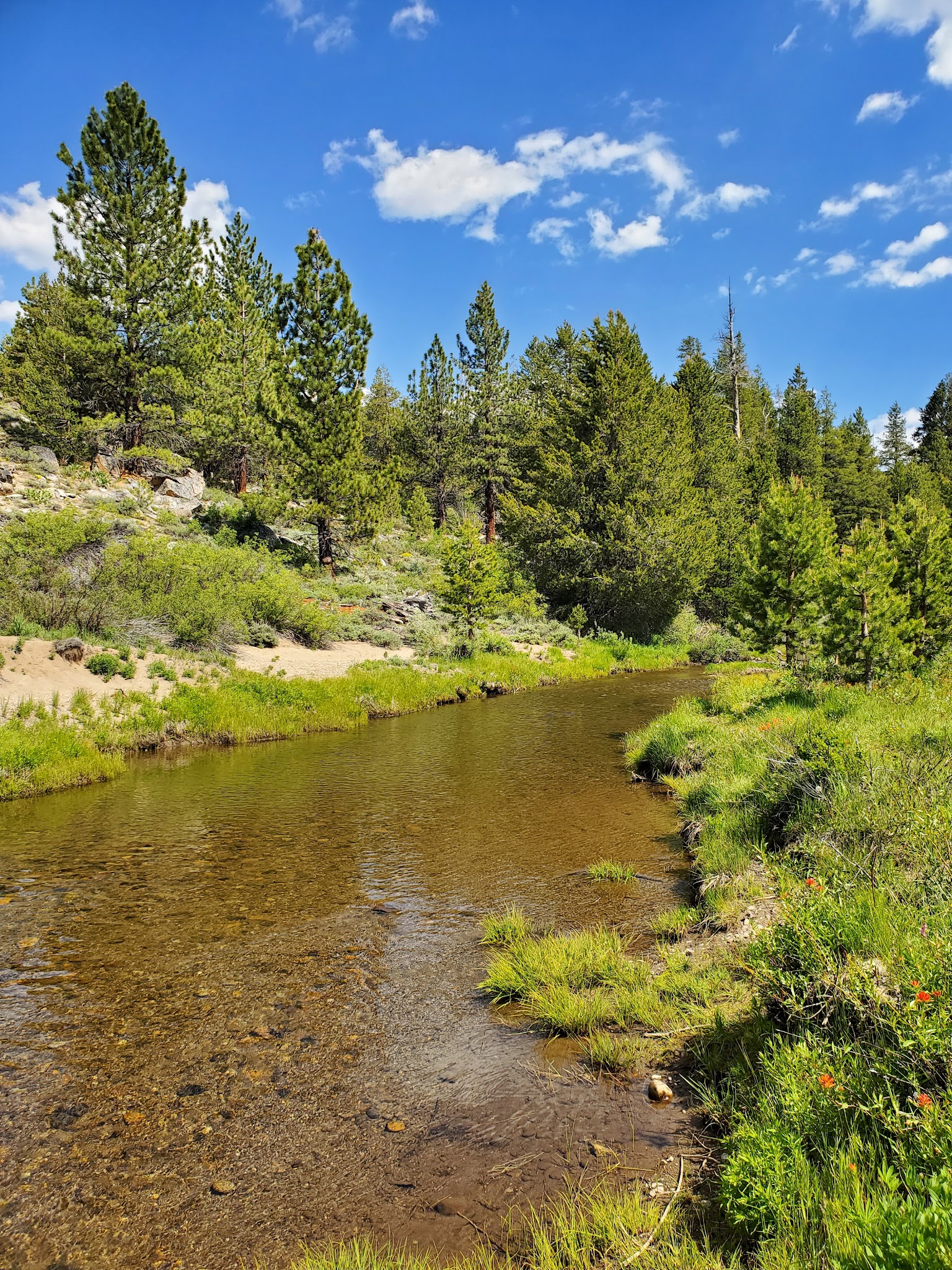 Hope Valley Campground