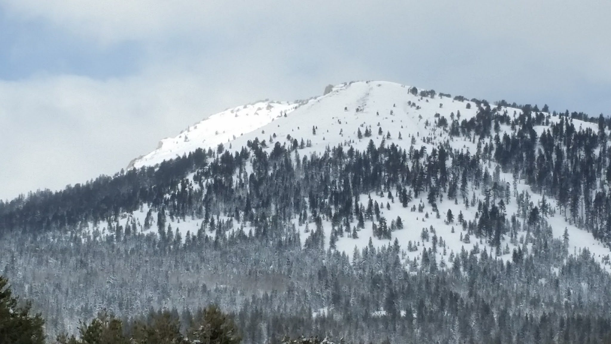 Hope Valley Campground