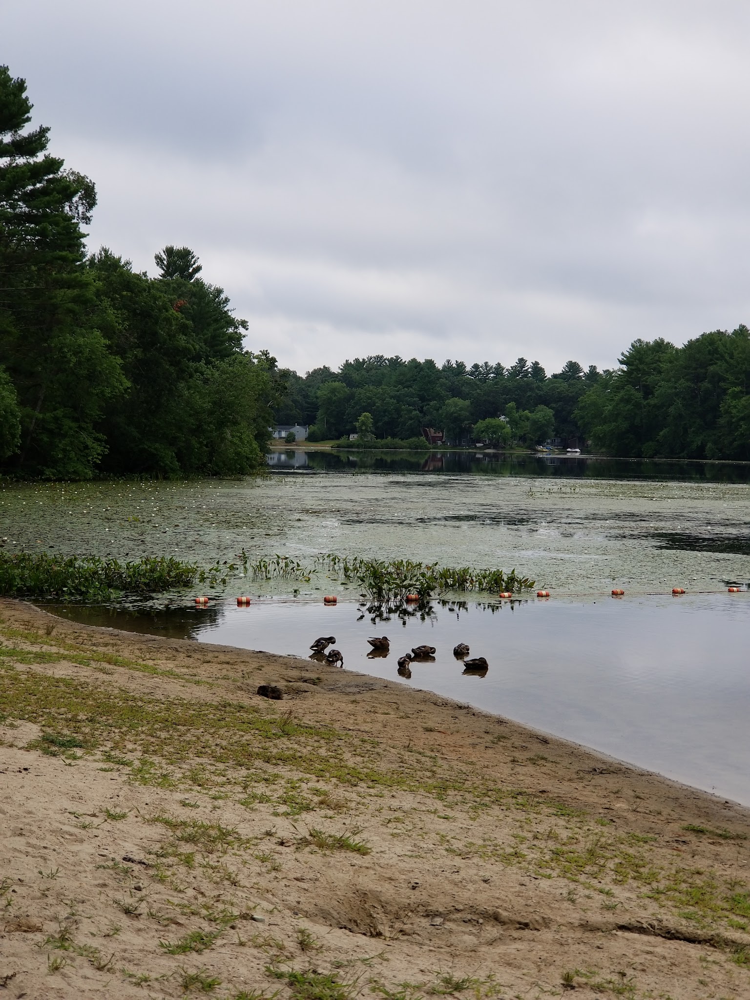 Hopeville Pond State Park