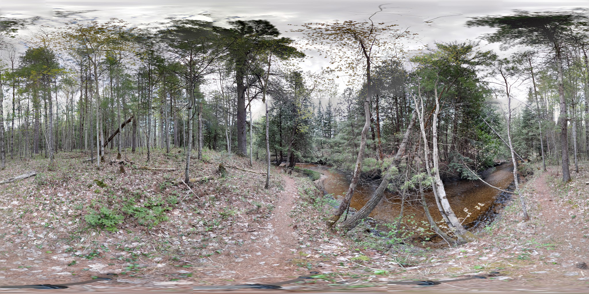 Hopkins Creek Equestrian State Forest Campground And Trail Camp