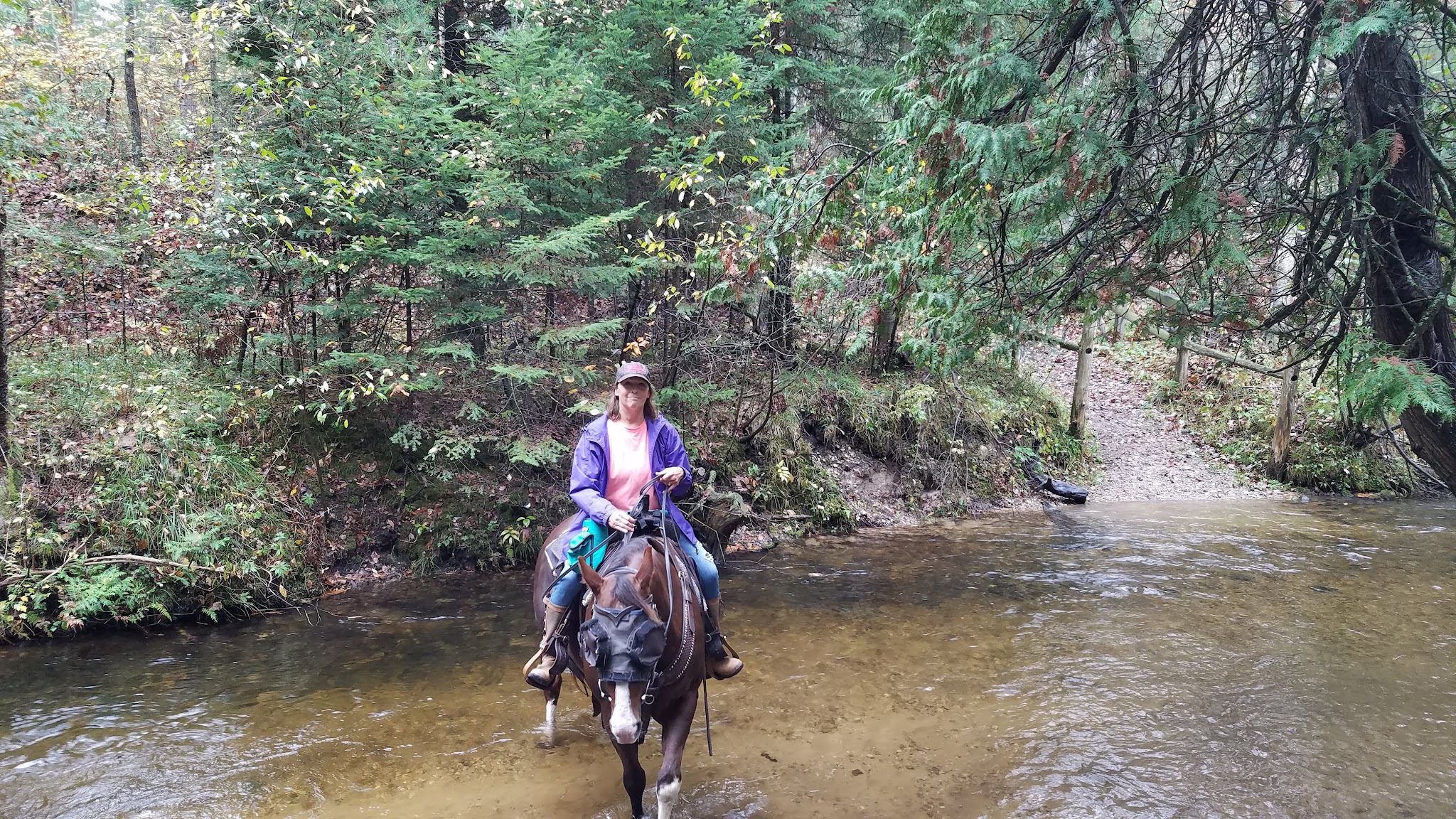 Hopkins Creek Equestrian State Forest Campground And Trail Camp