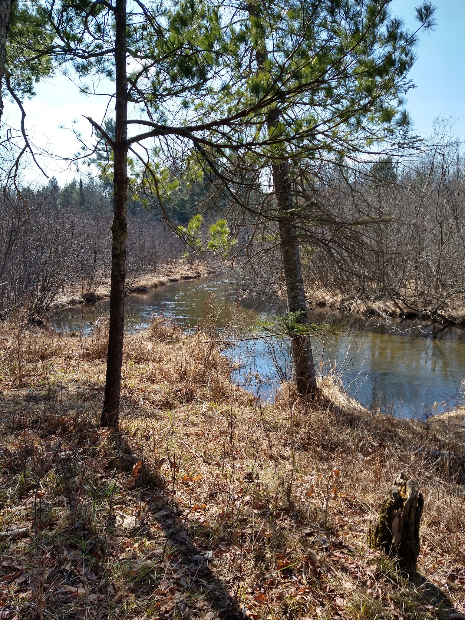 Hopkins Creek Equestrian State Forest Campground And Trail Camp