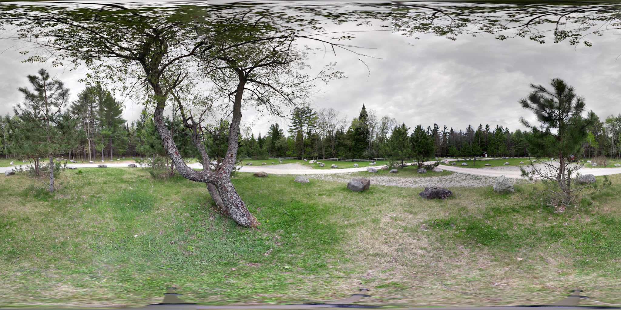 Hopkins Creek Equestrian State Forest Campground And Trail Camp