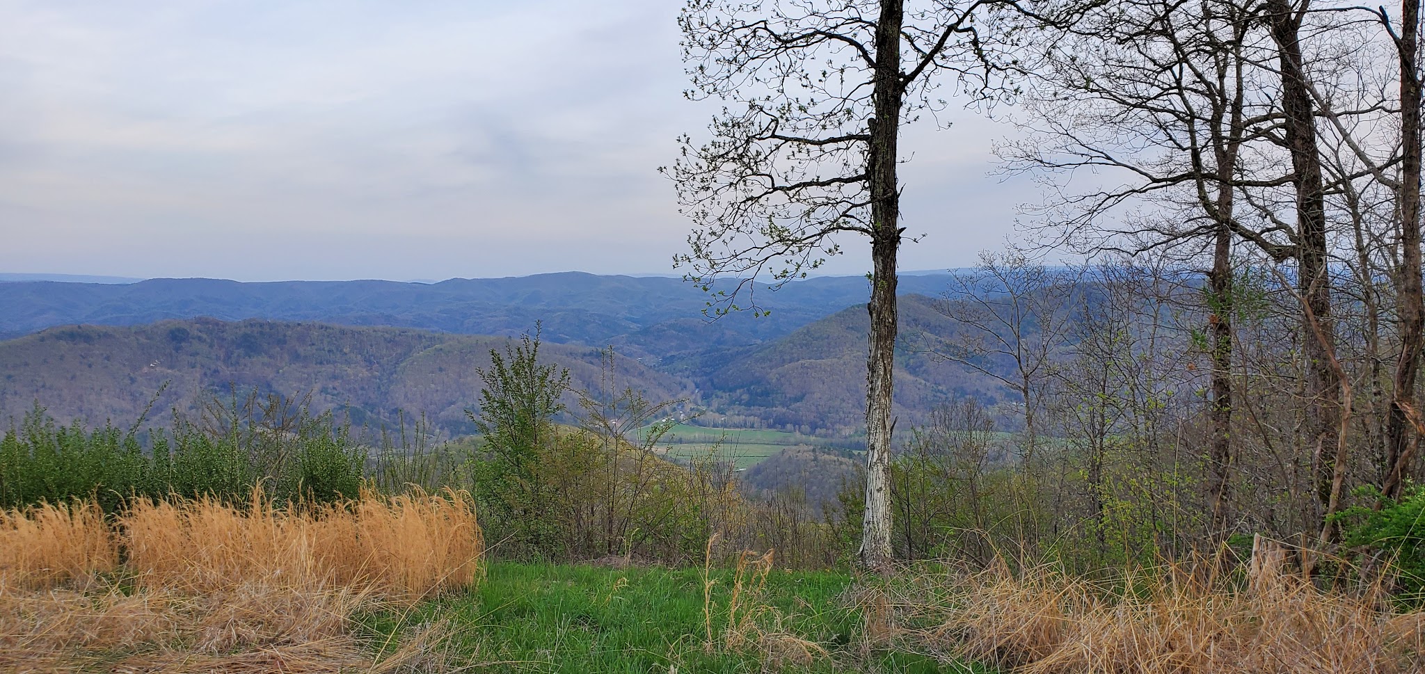 Hopkins Mountain Fireman'S Cabin