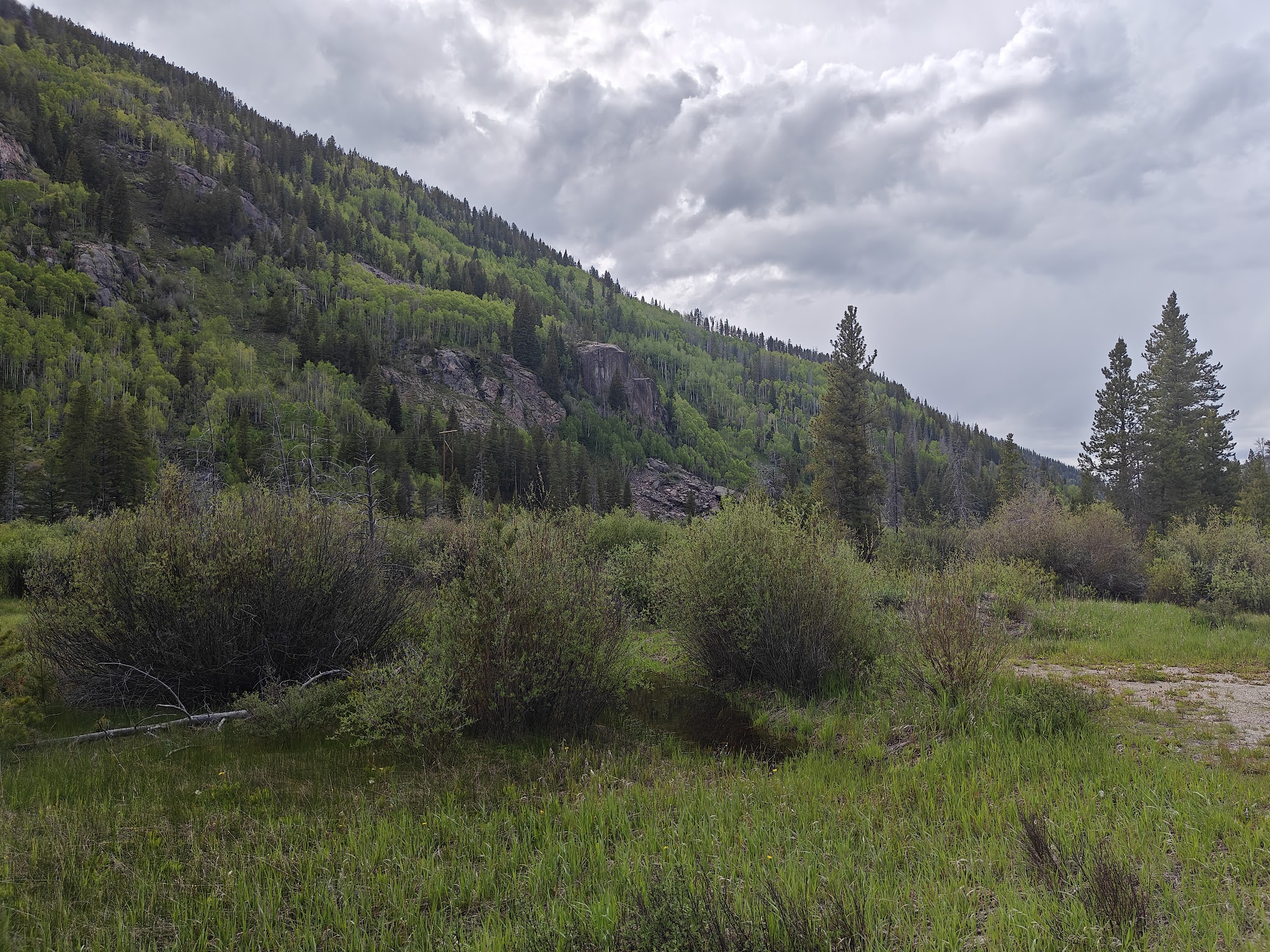 Hornsilver Campground