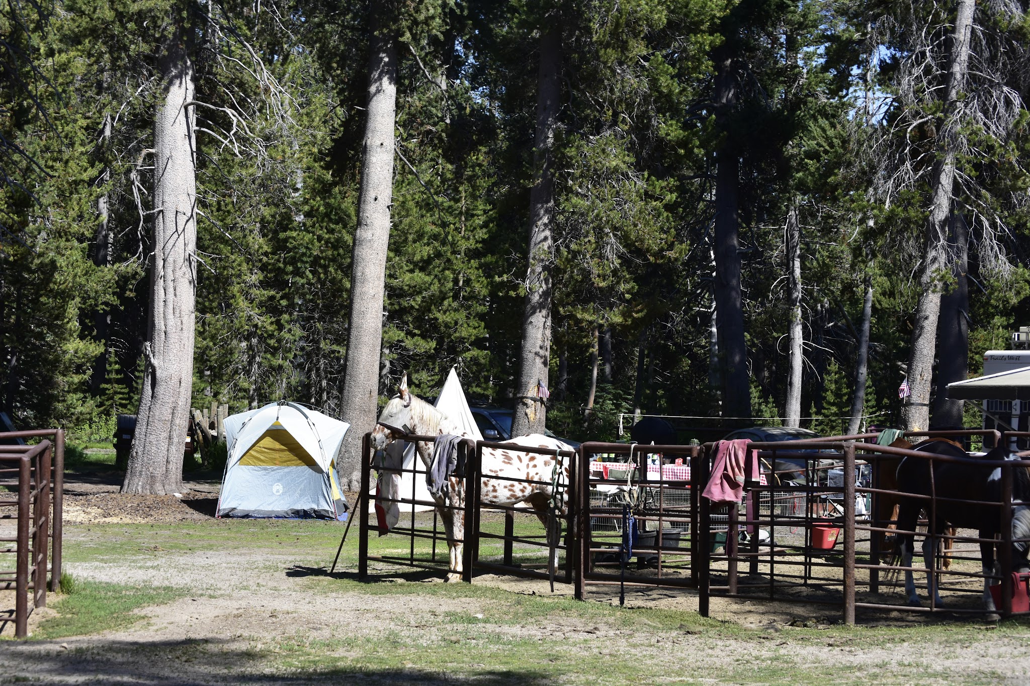 Horse Camp Campground