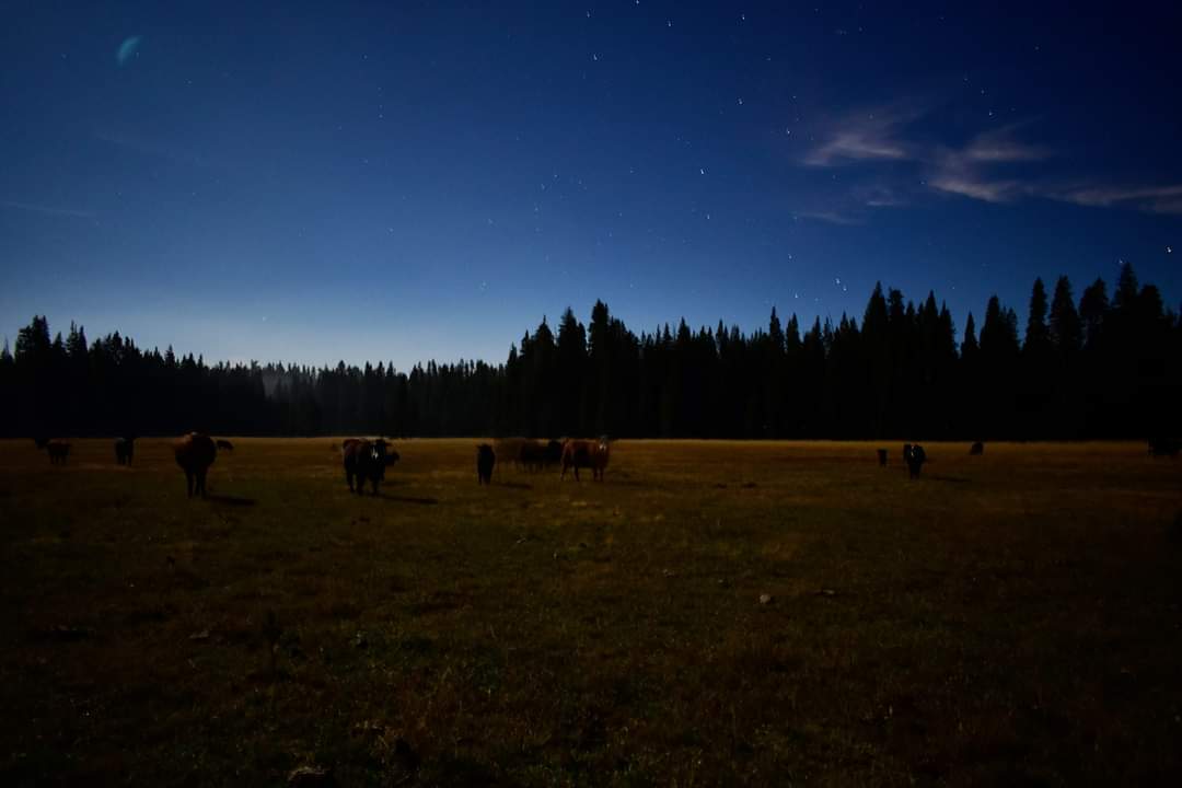 Horse Camp Campground