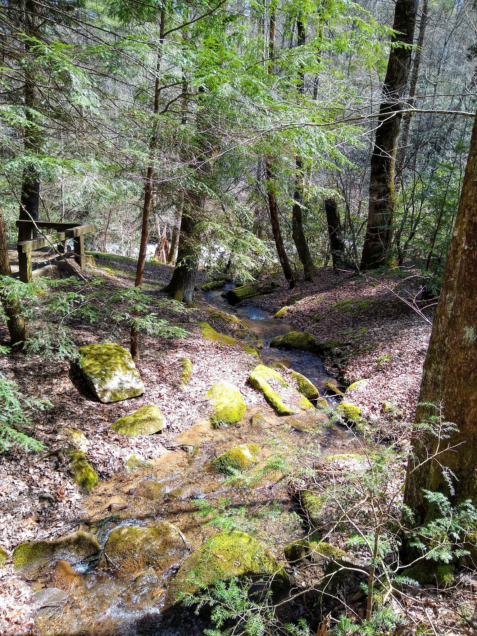 Horse Cove Campground