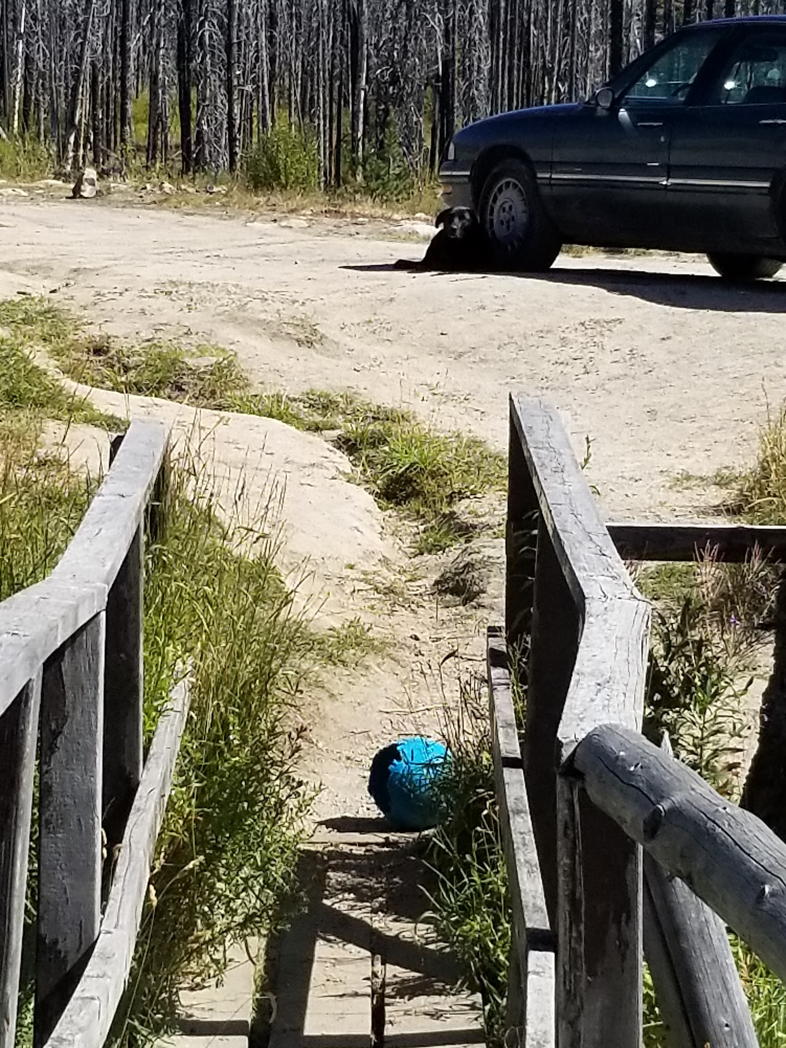 Horse Creek Hot Spring & Campground