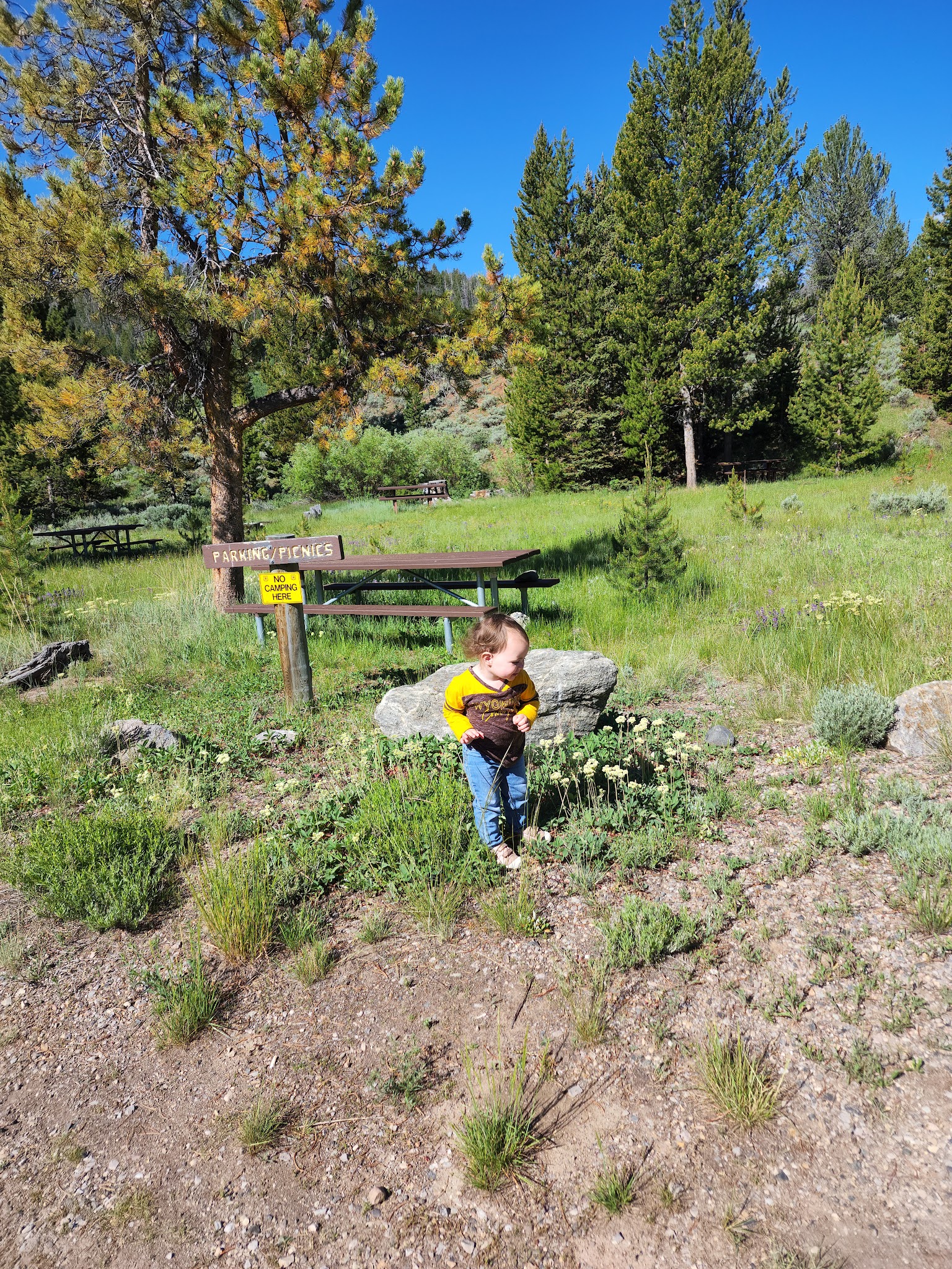 Horse Creek Campground