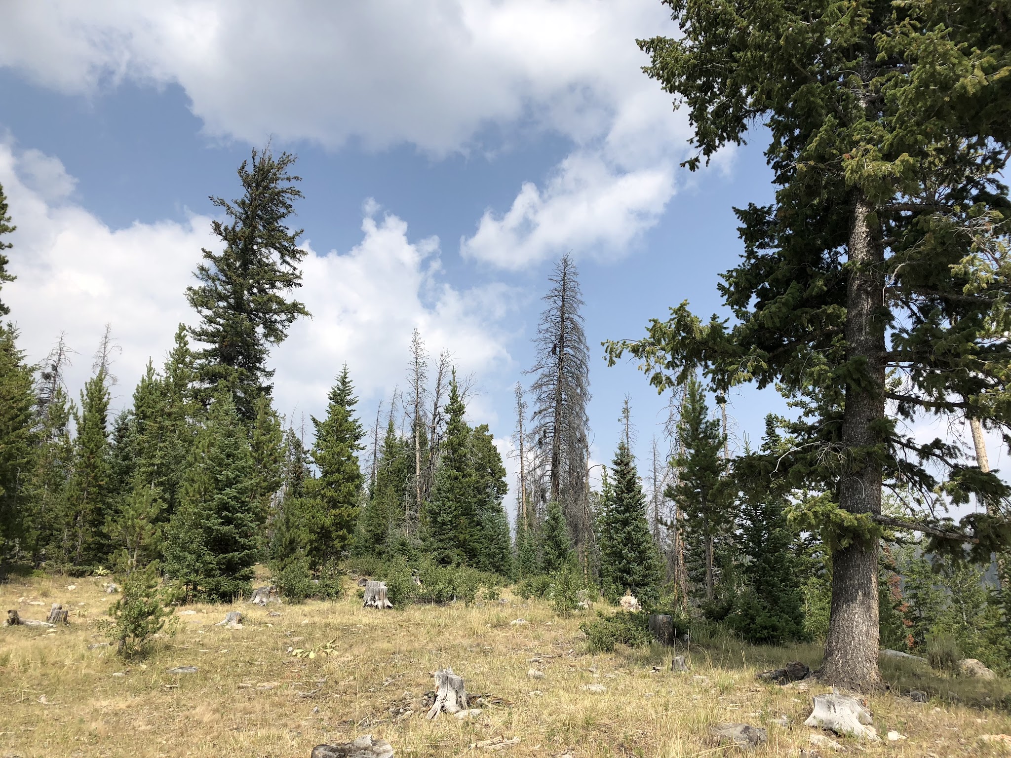 Horse Creek Campground