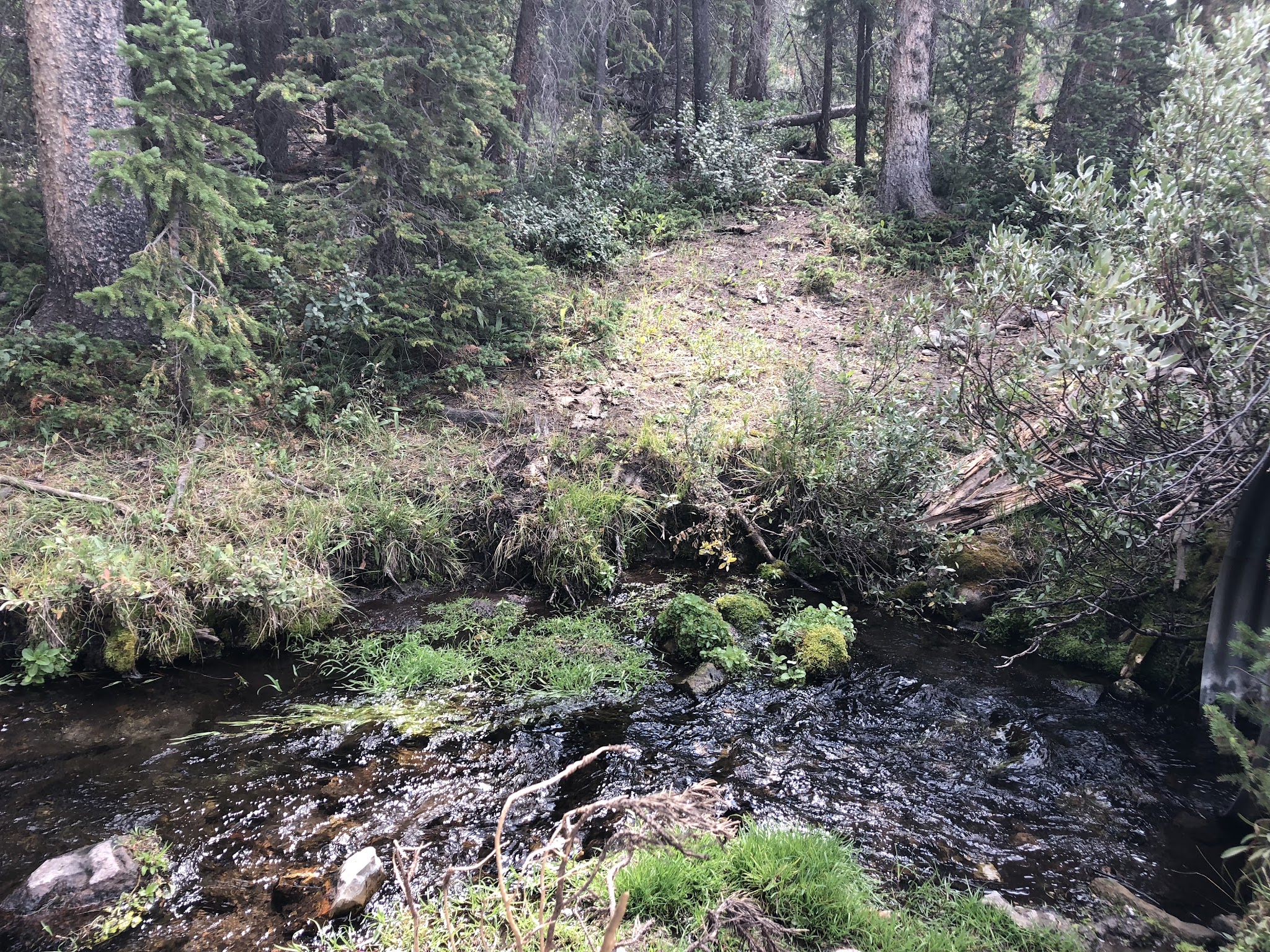 Horse Creek Campground