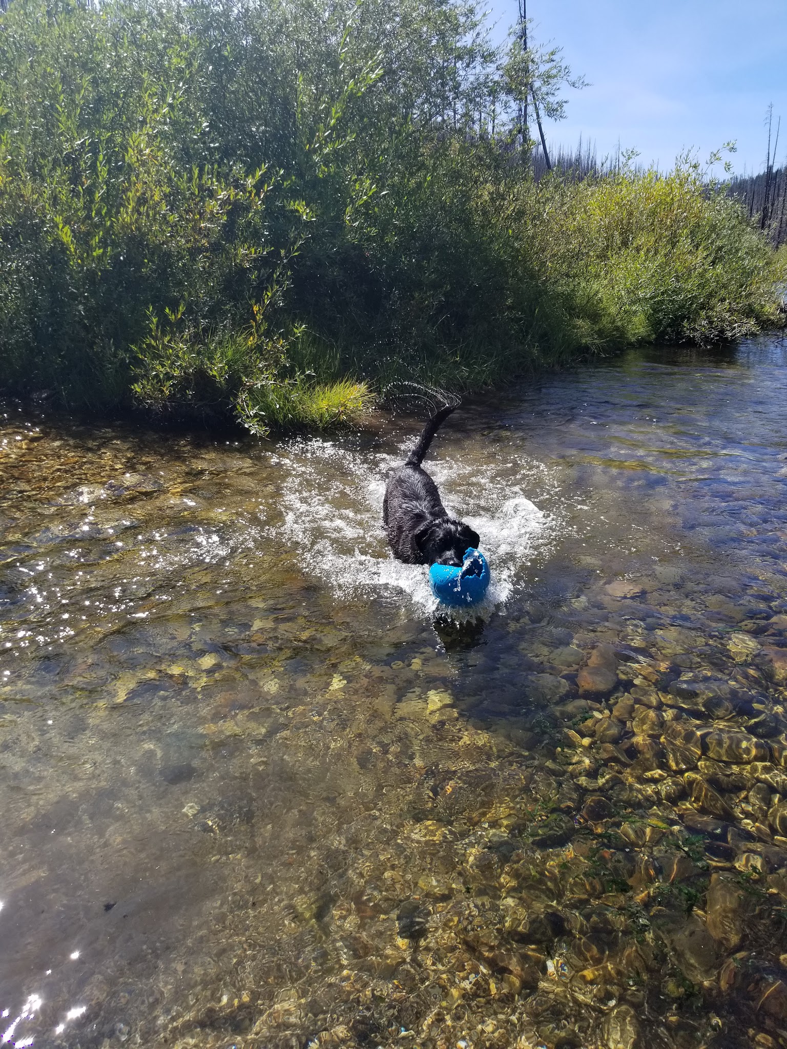 Horse Creek Hot Spring & Campground