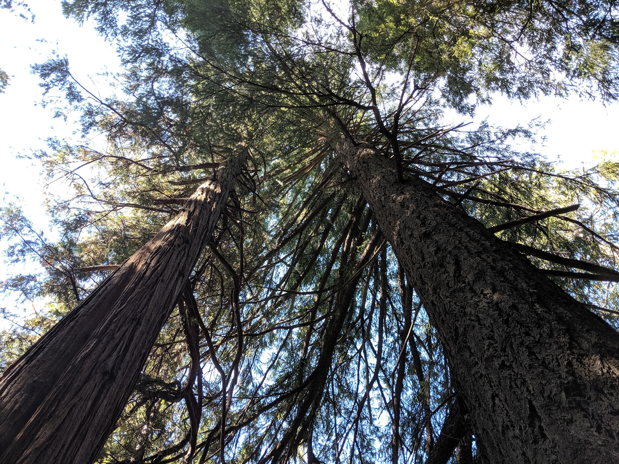 Horse Flat Campground