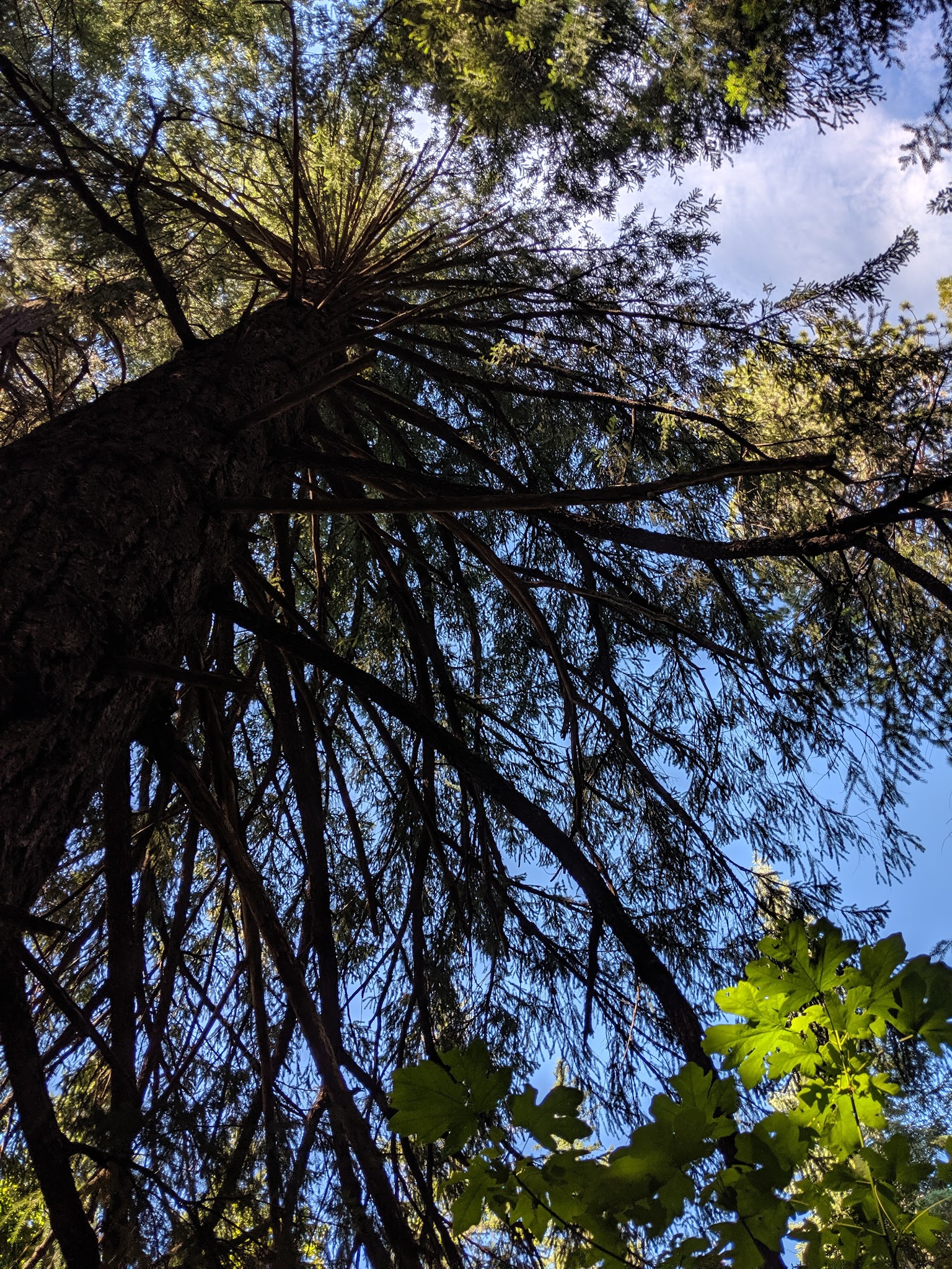 Horse Flat Campground