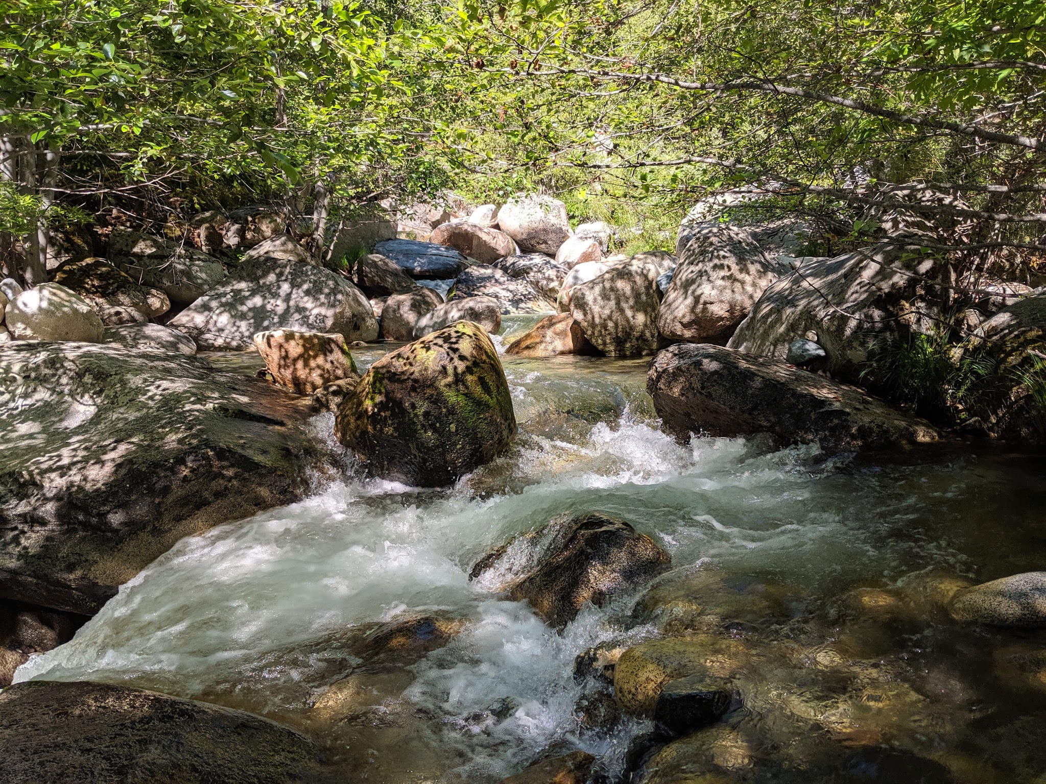 Horse Flat Campground