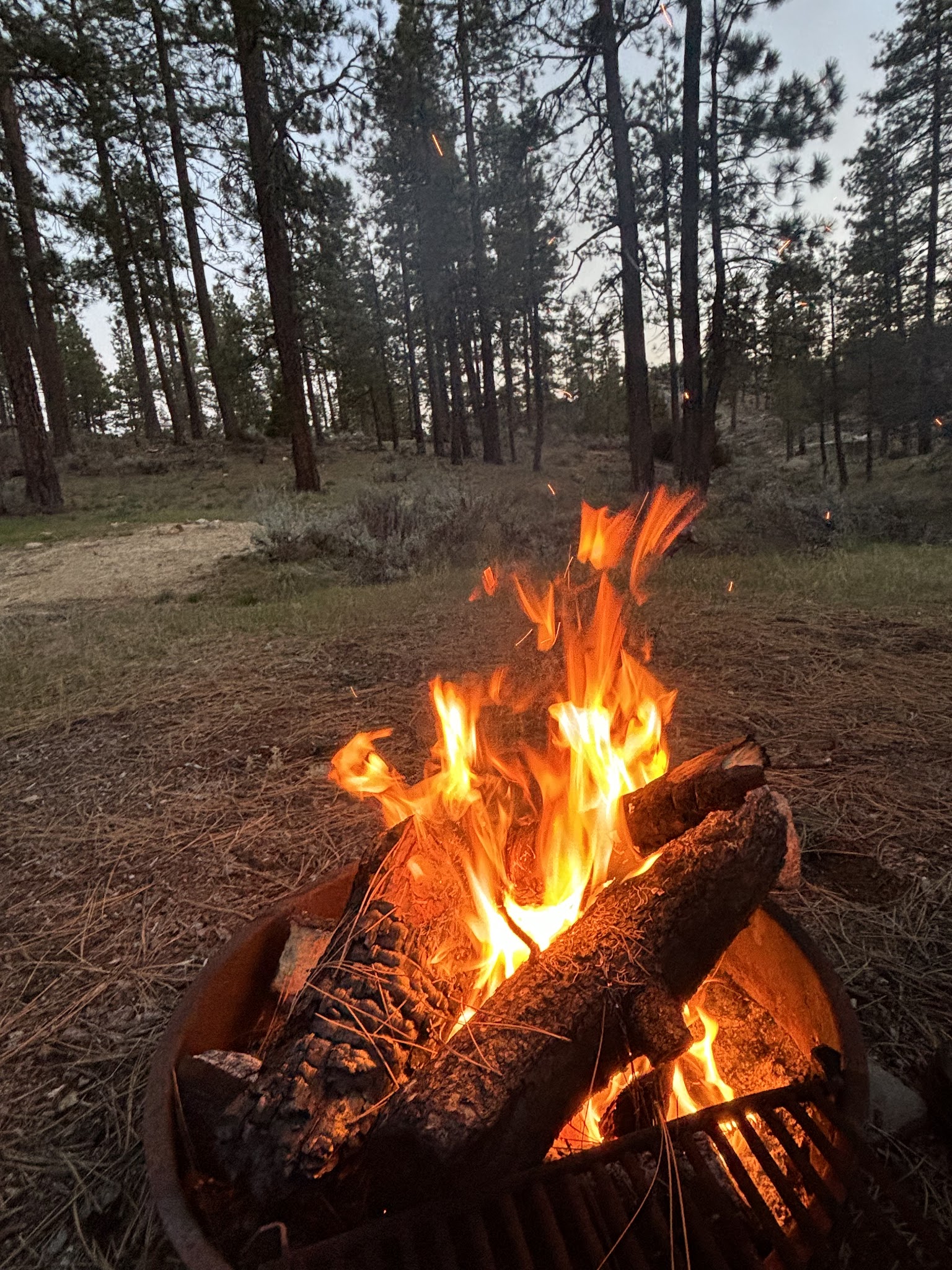Horse Flat Campground