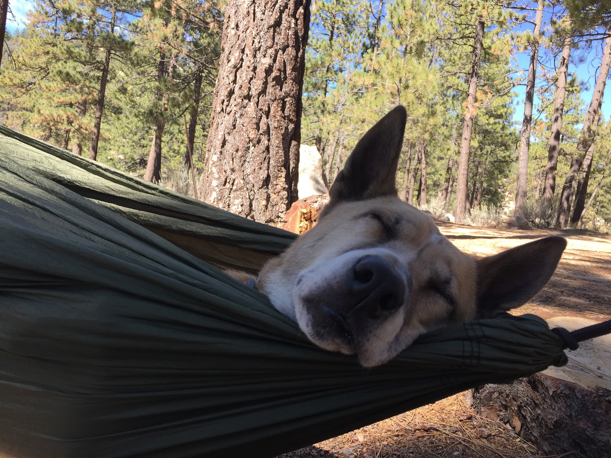 Horse Flat Campground
