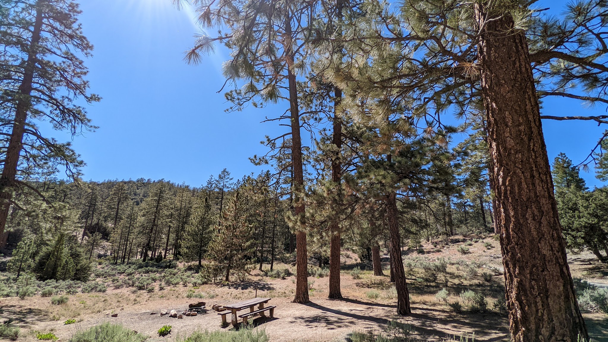 Horse Flat Campground