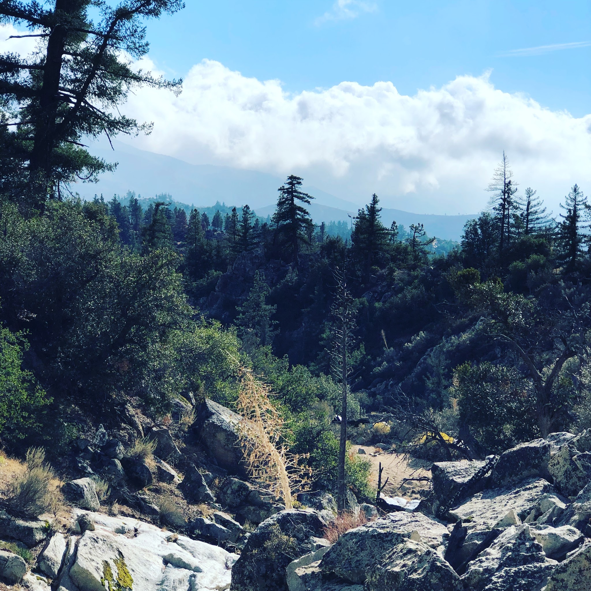 Horse Flat Campground